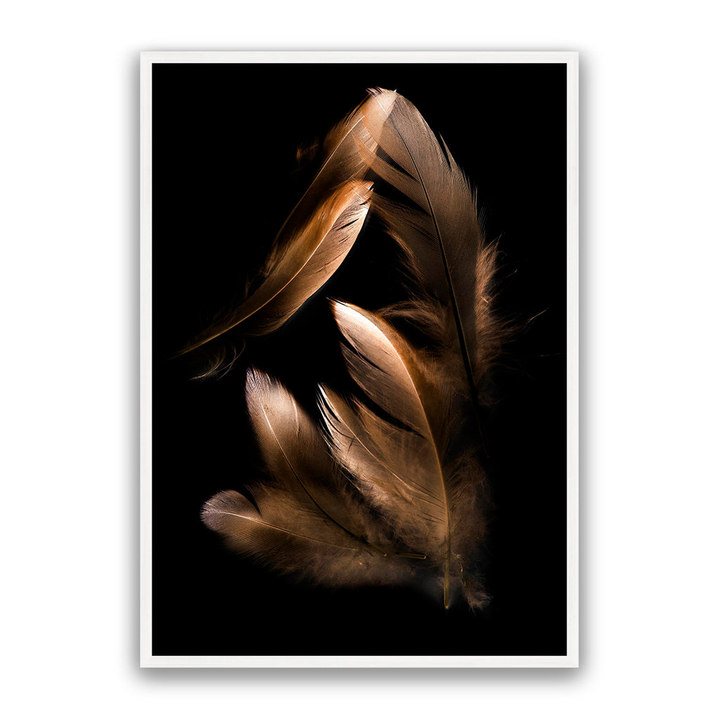 Bronze Feather