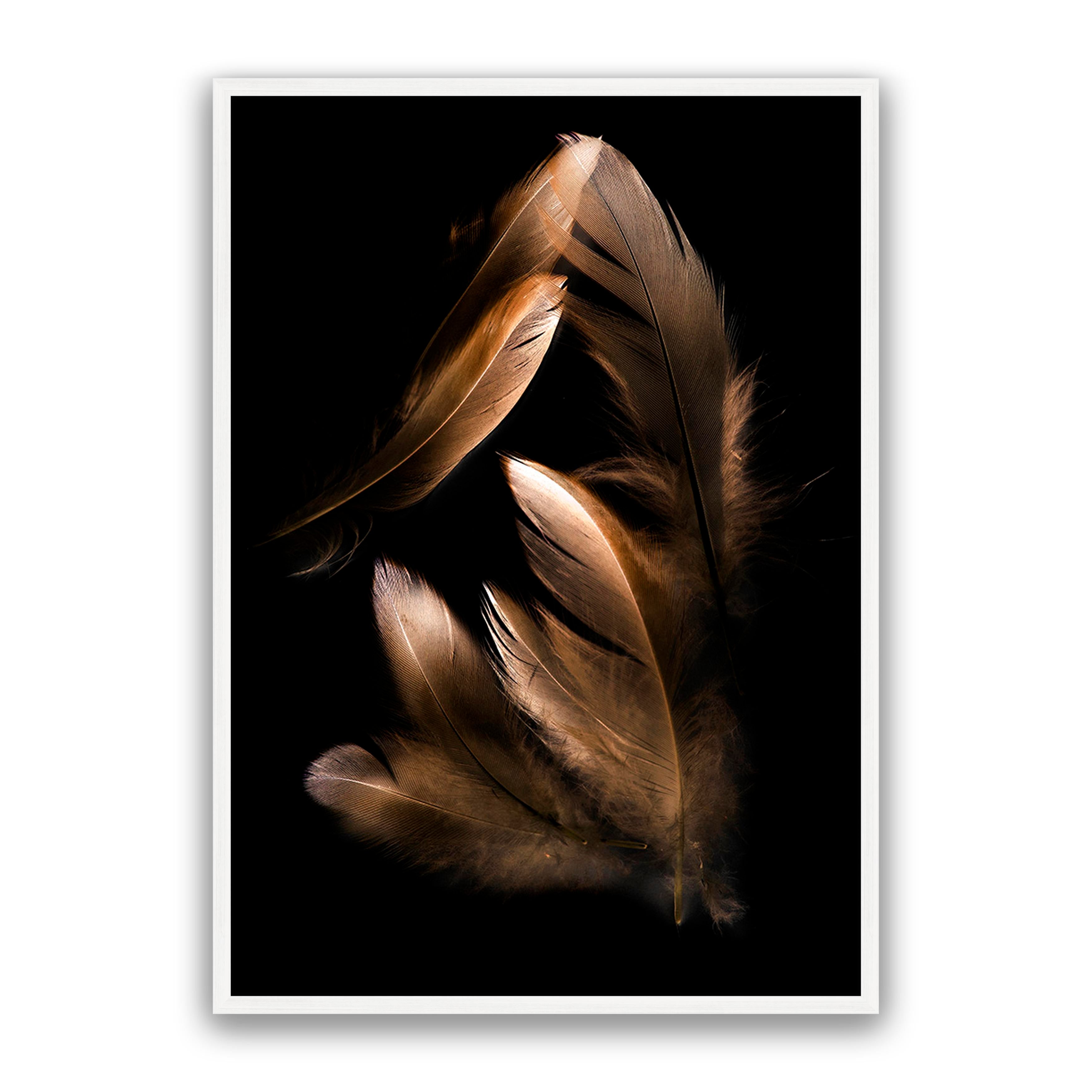 Bronze Feather