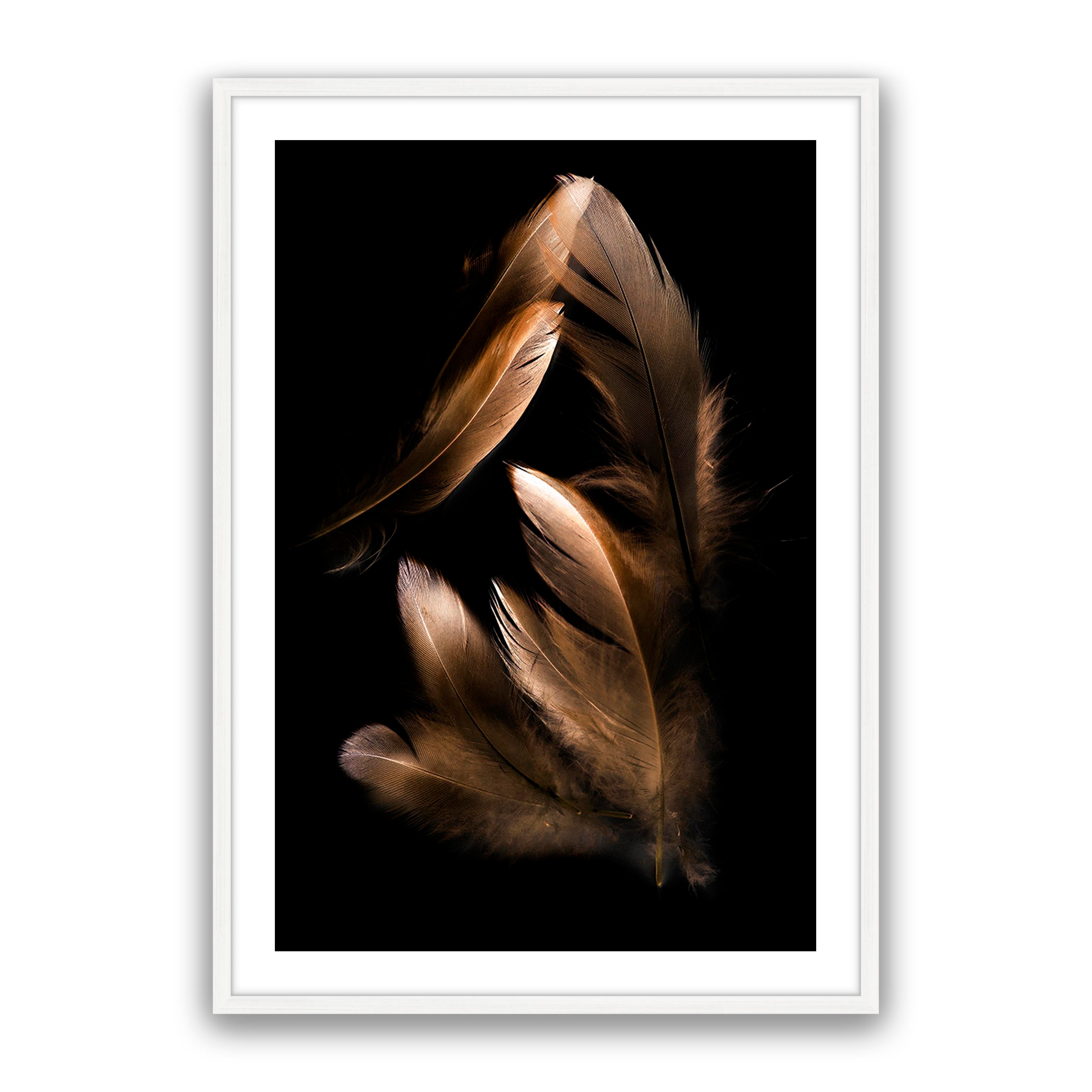 Bronze Feather