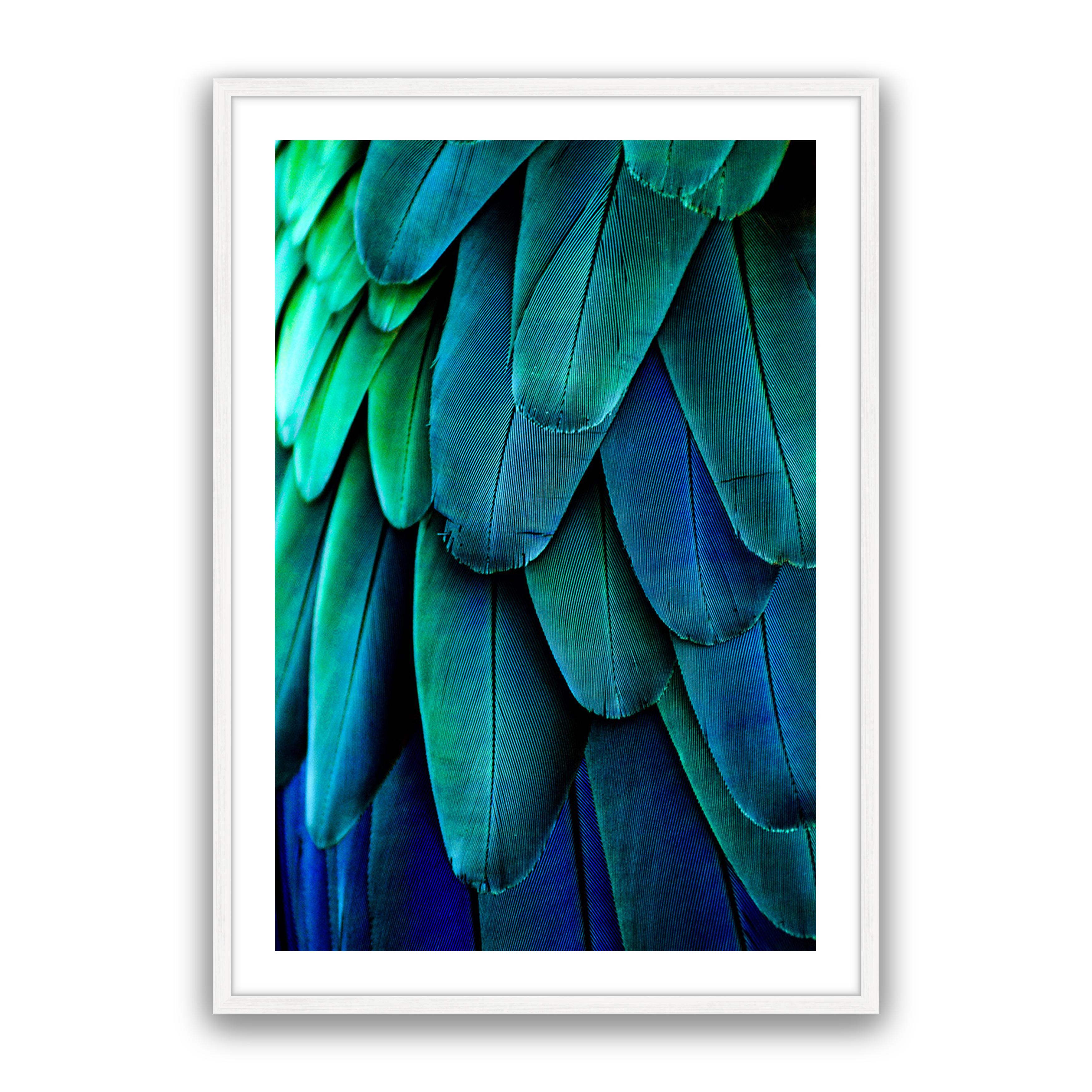 Aqua Feathers