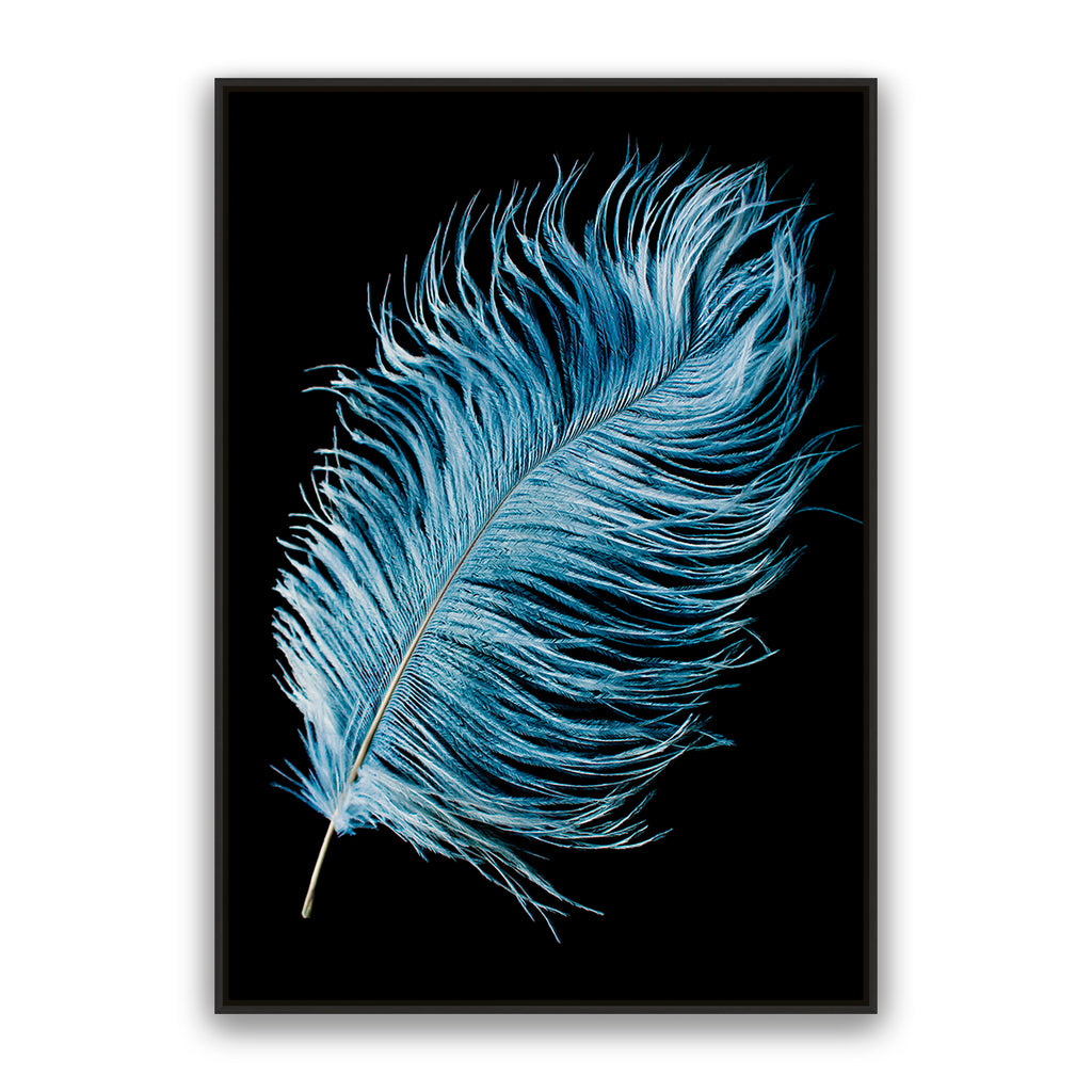 Mystic Feather