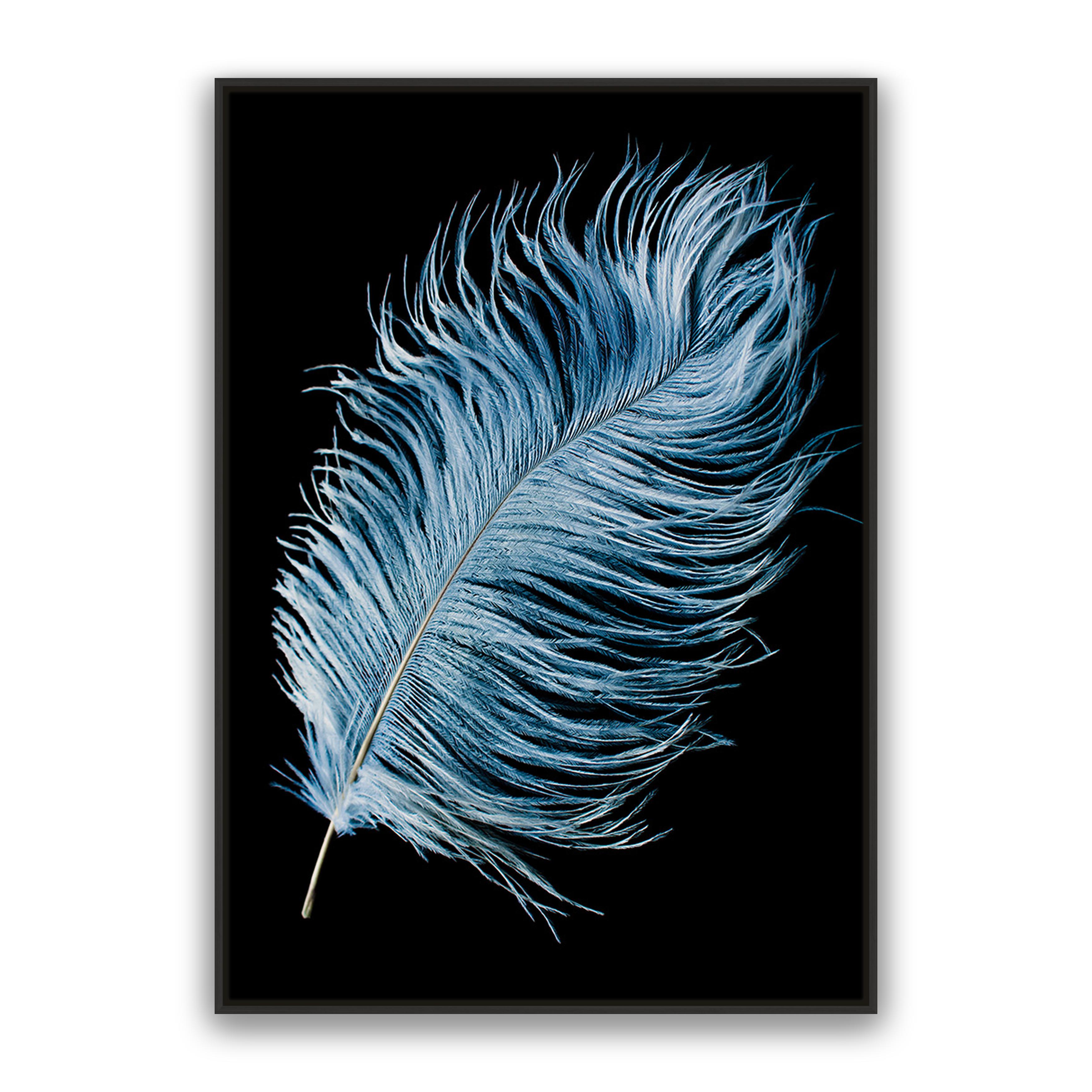 Mystic Feather