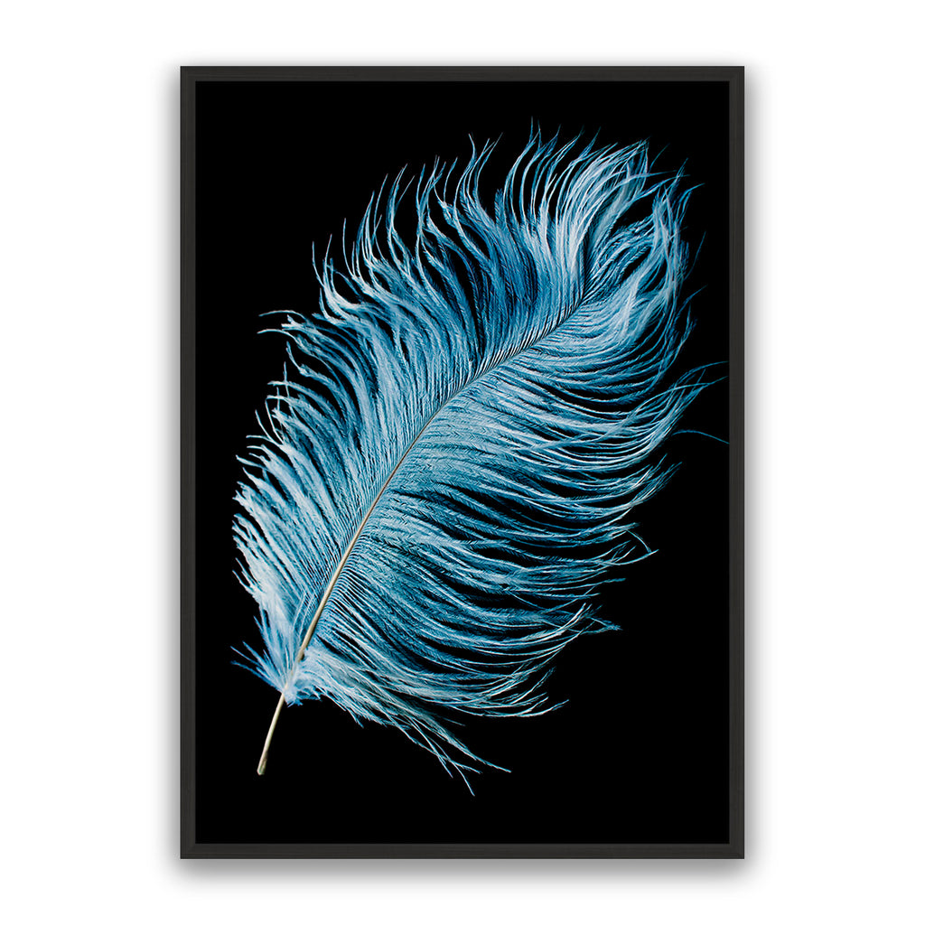 Mystic Feather
