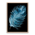 Mystic Feather