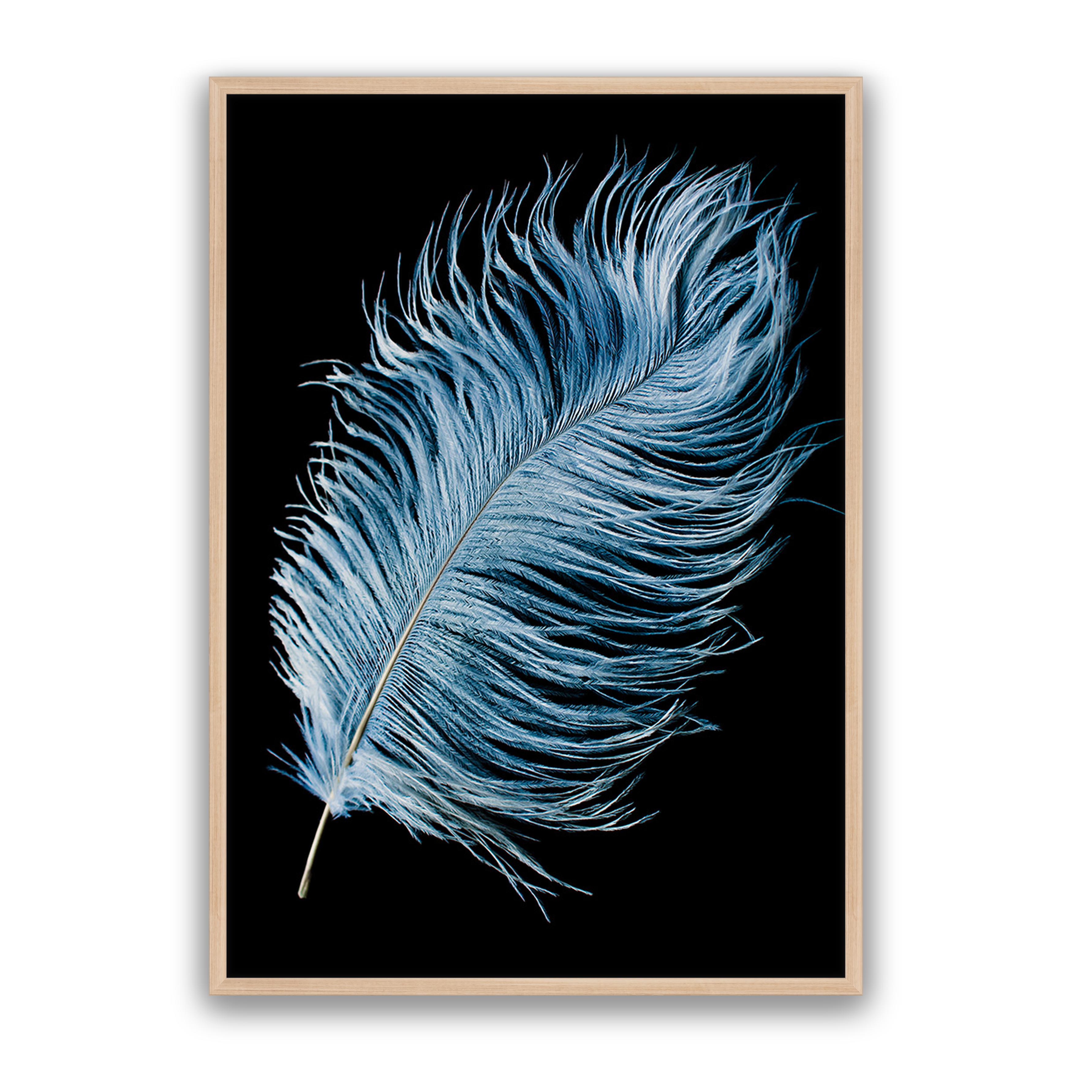 Mystic Feather