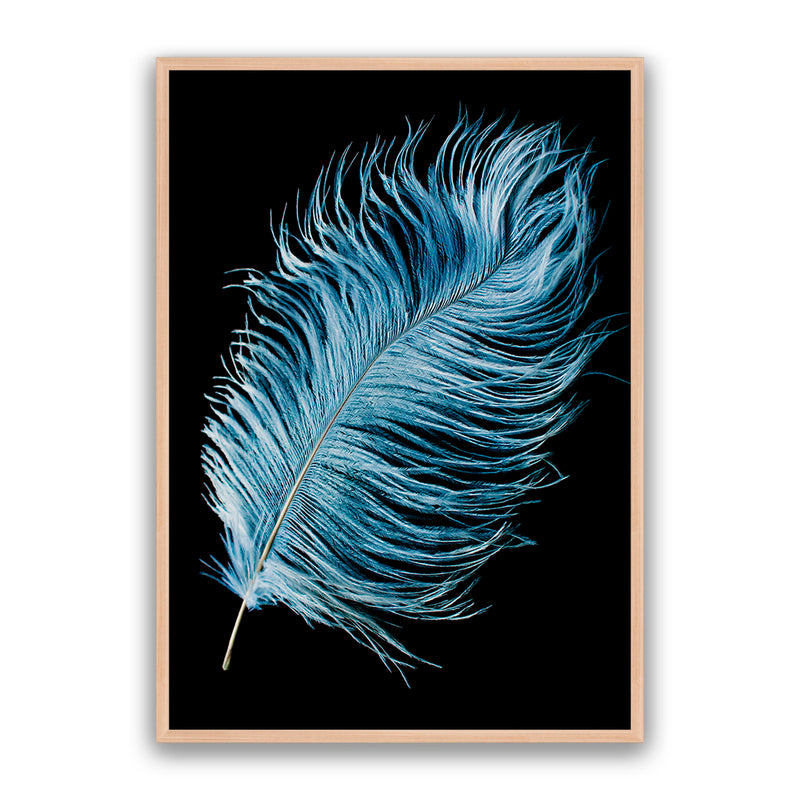 Mystic Feather