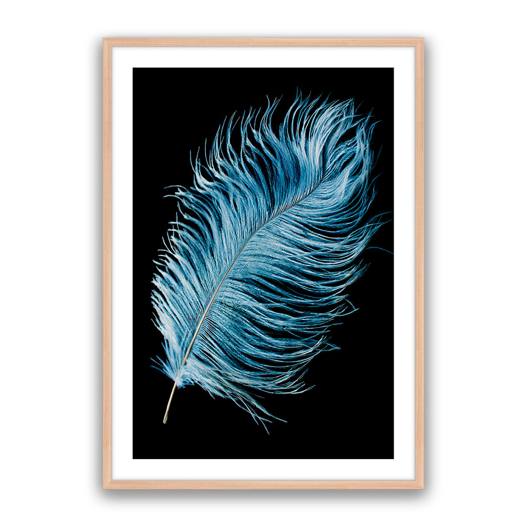 Mystic Feather
