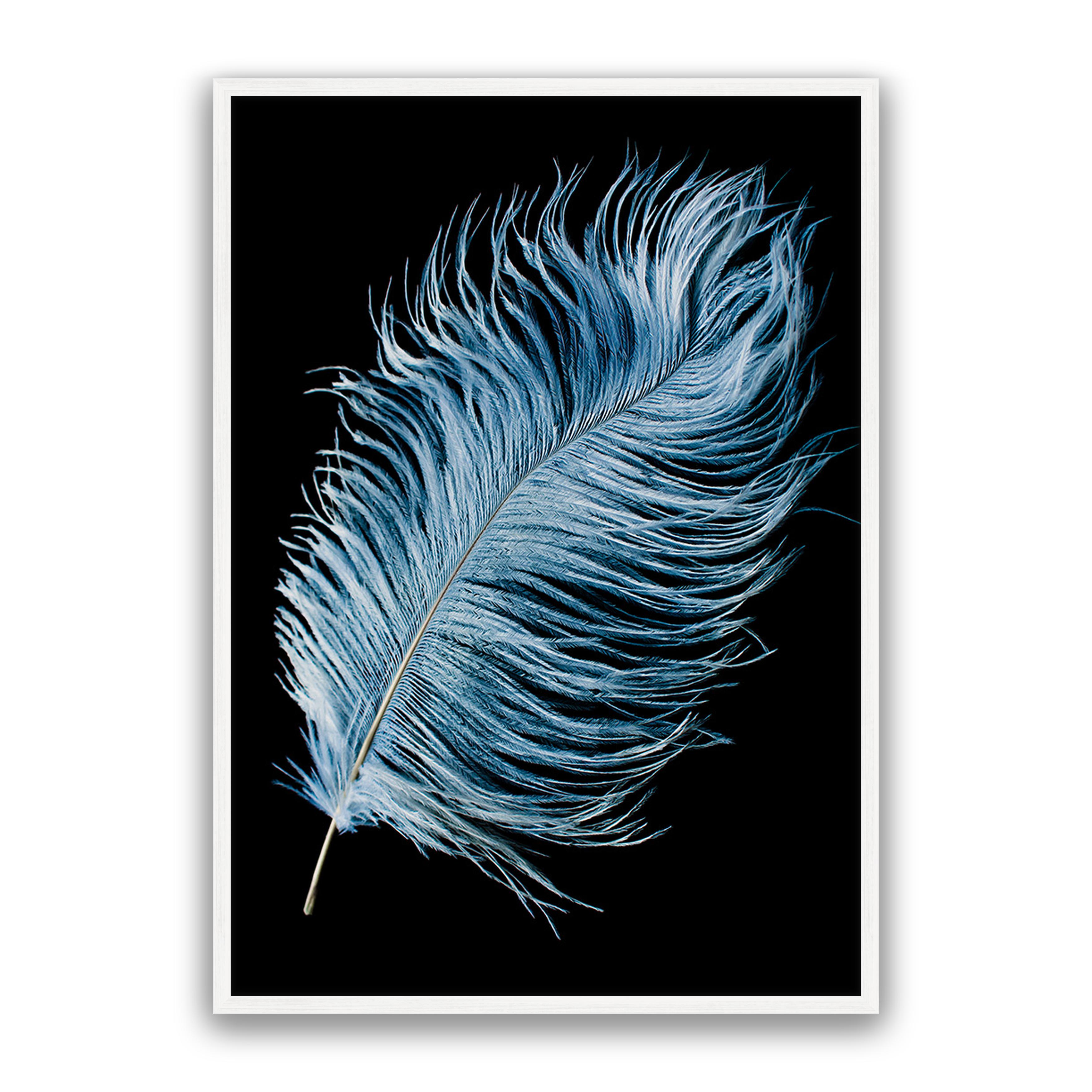Mystic Feather