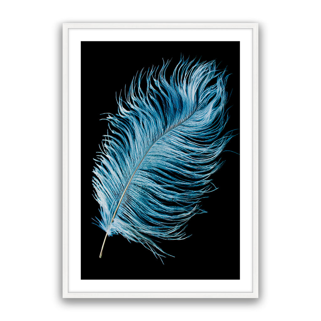 Mystic Feather