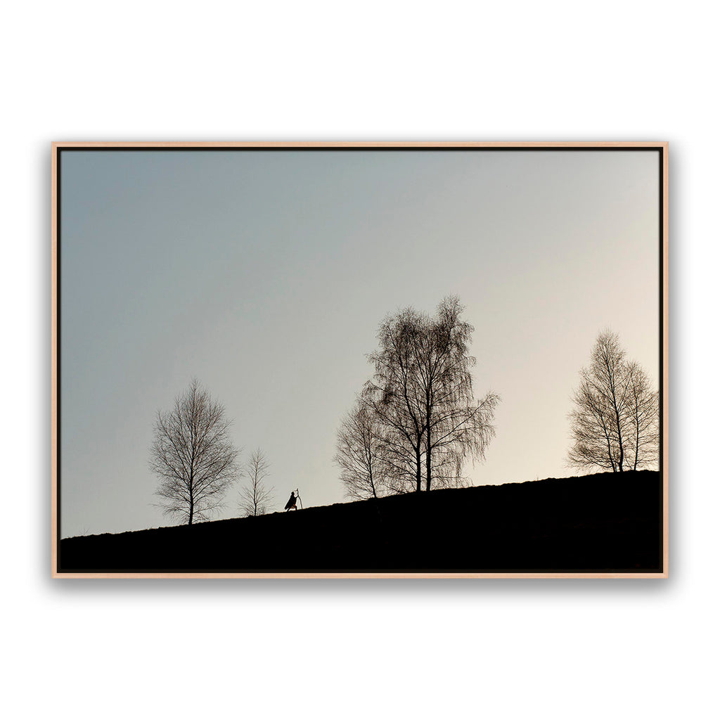 Native Walk 2