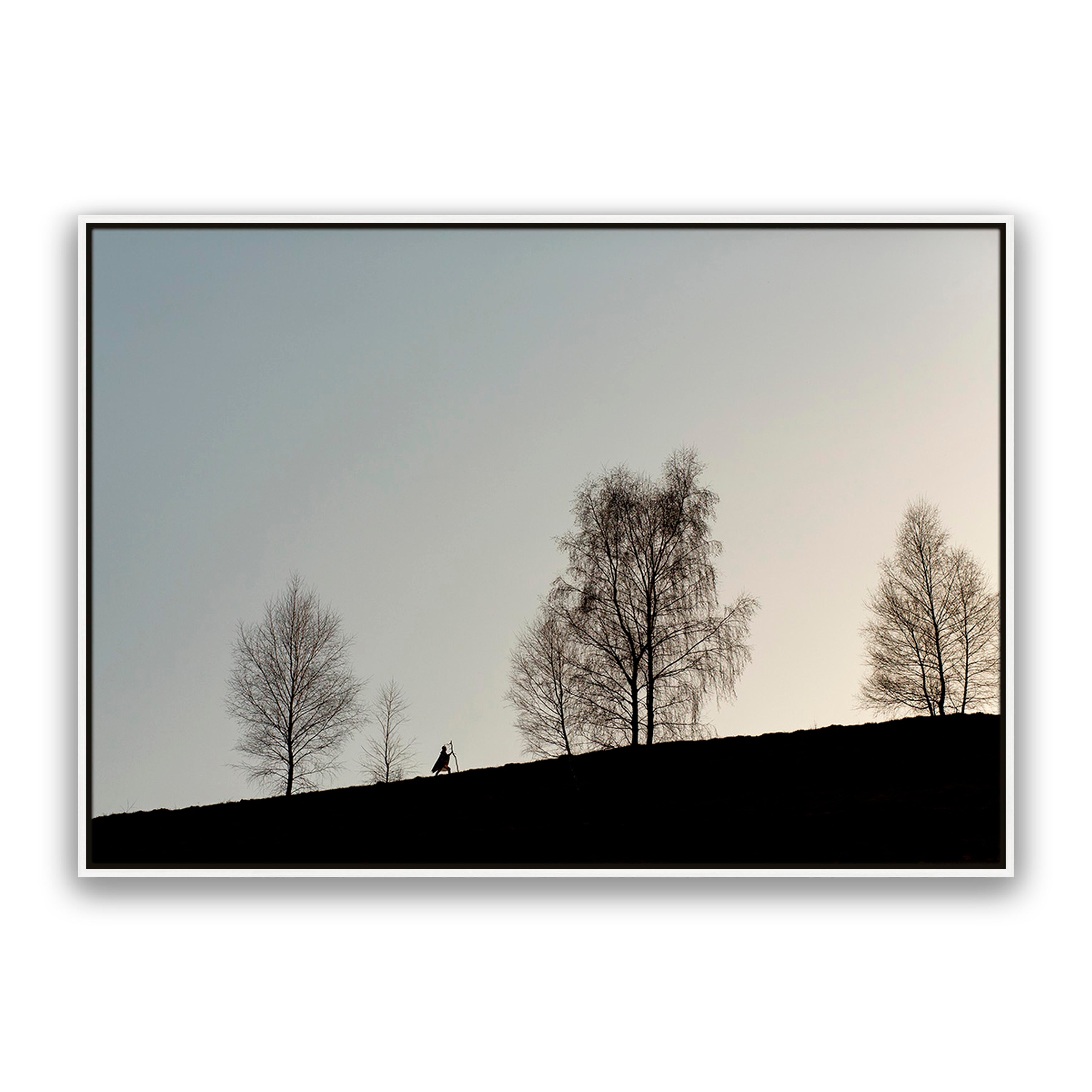 Native Walk 2