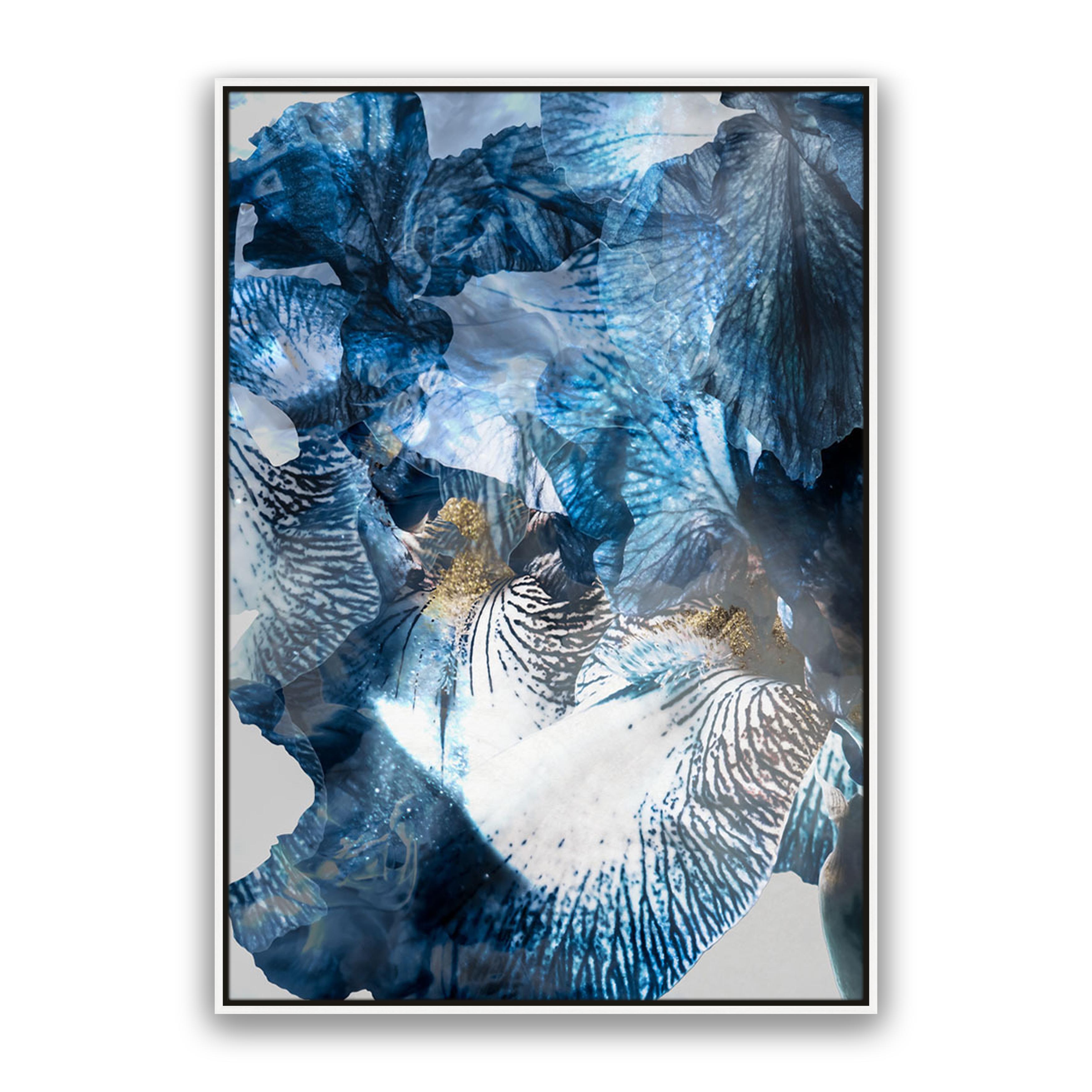 Aster 01