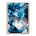 Aster 01