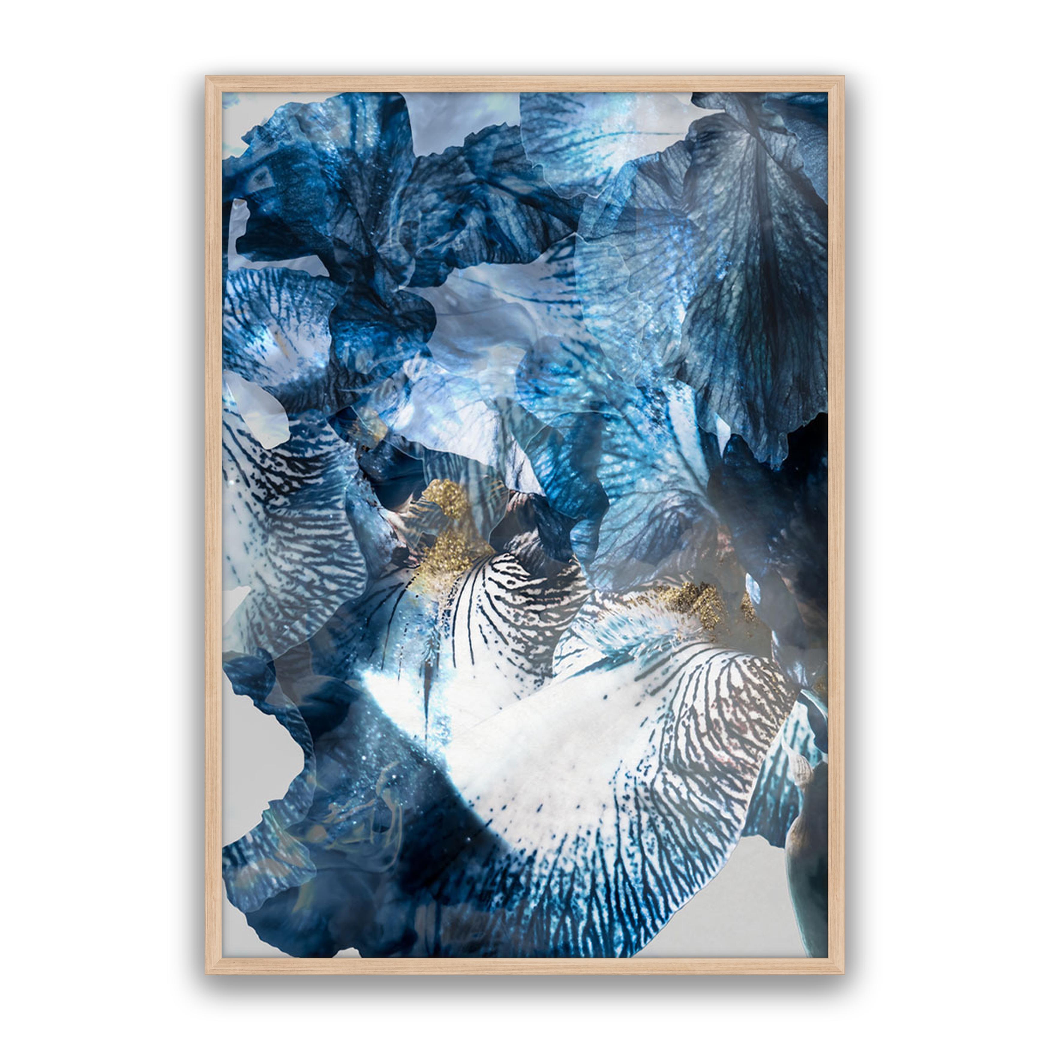 Aster 01