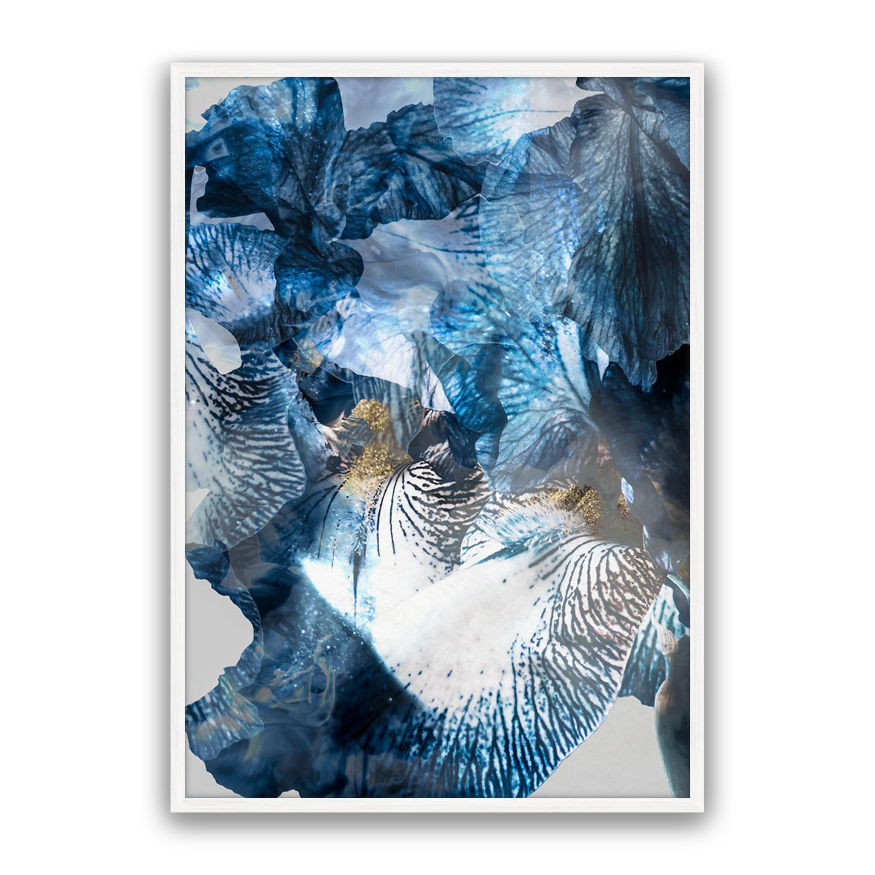 Aster 01