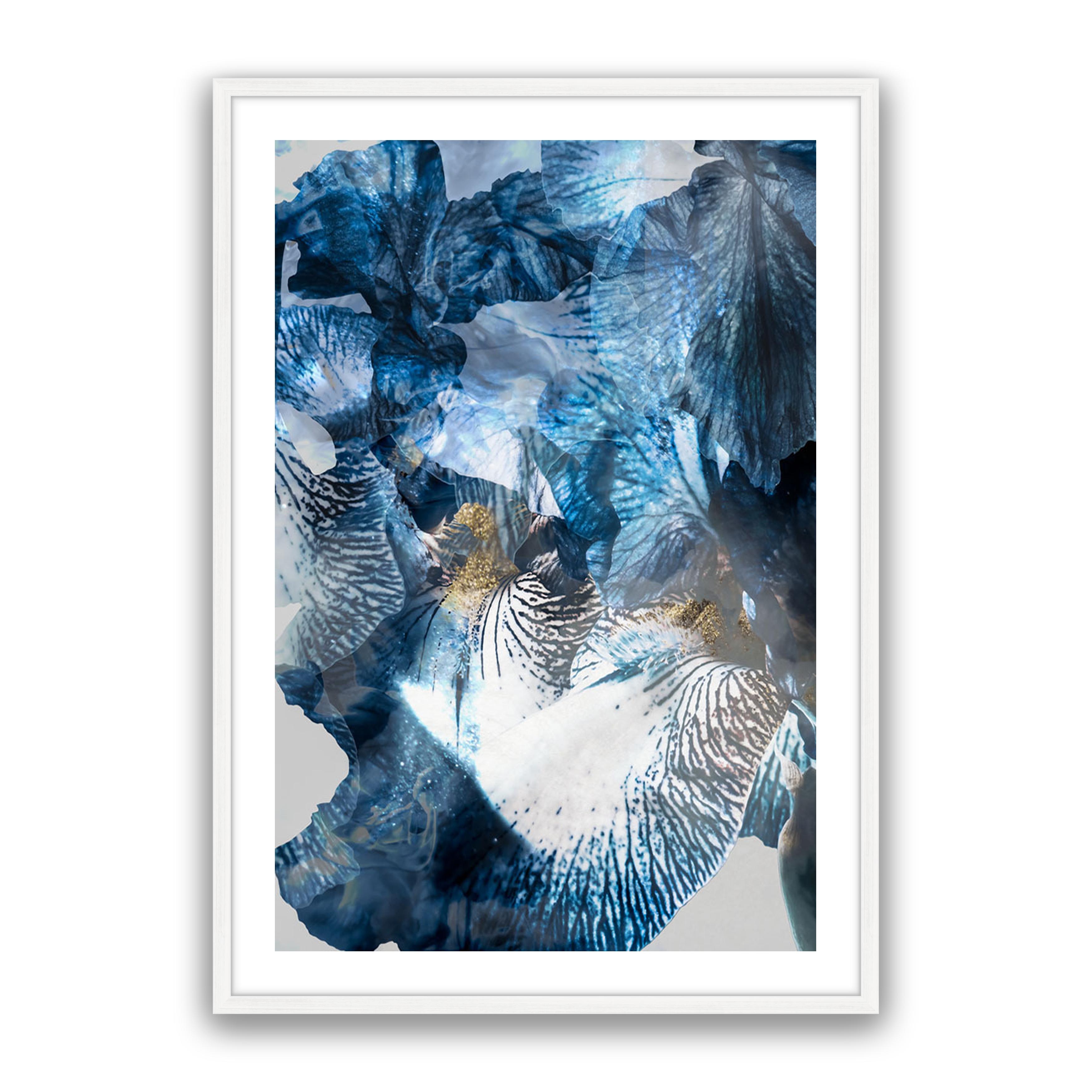 Aster 01
