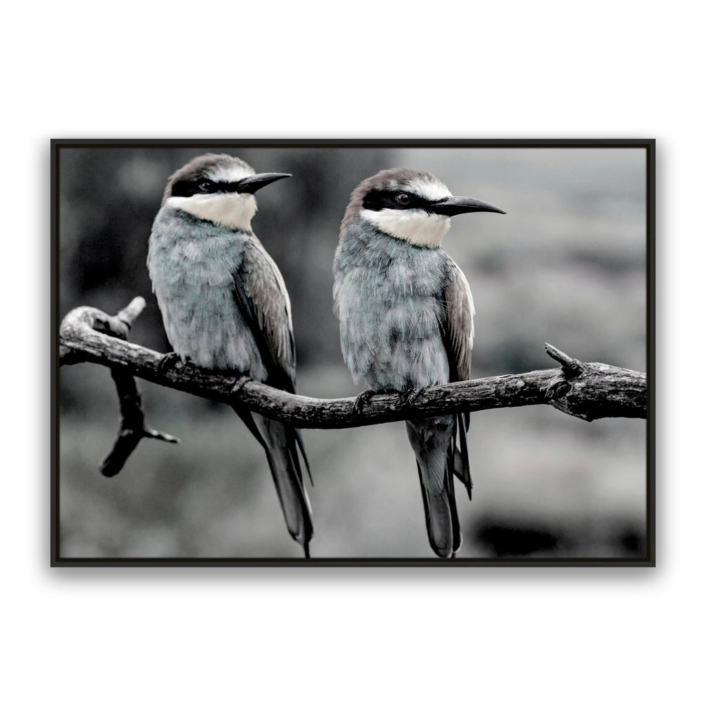 Silver Birds