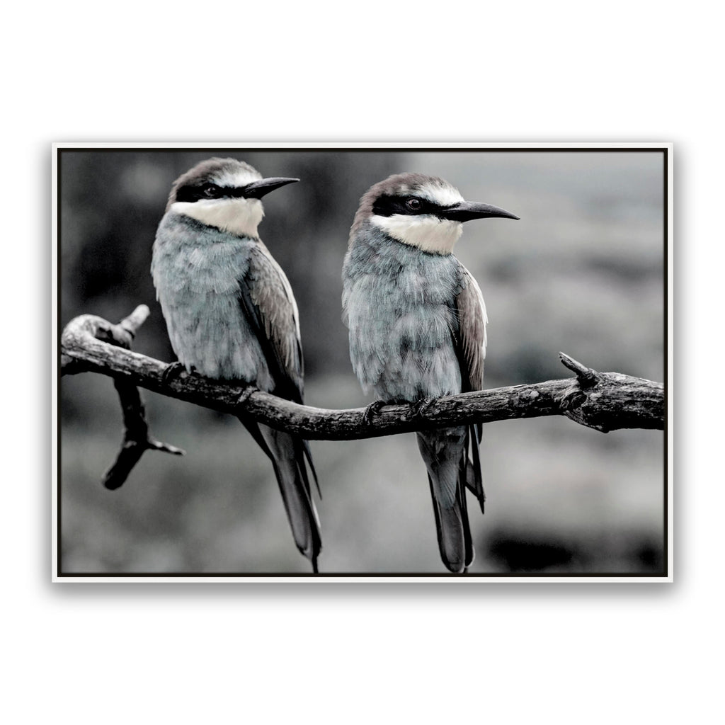 Silver Birds