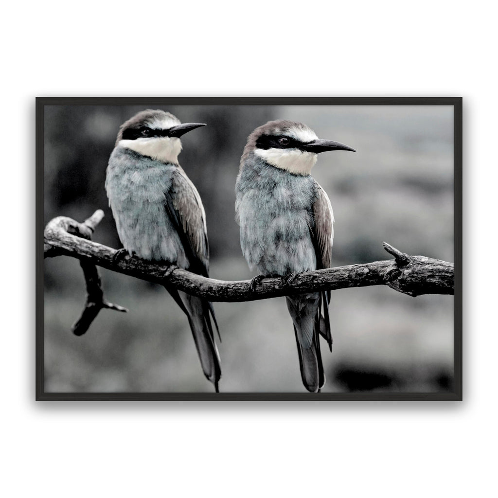 Silver Birds