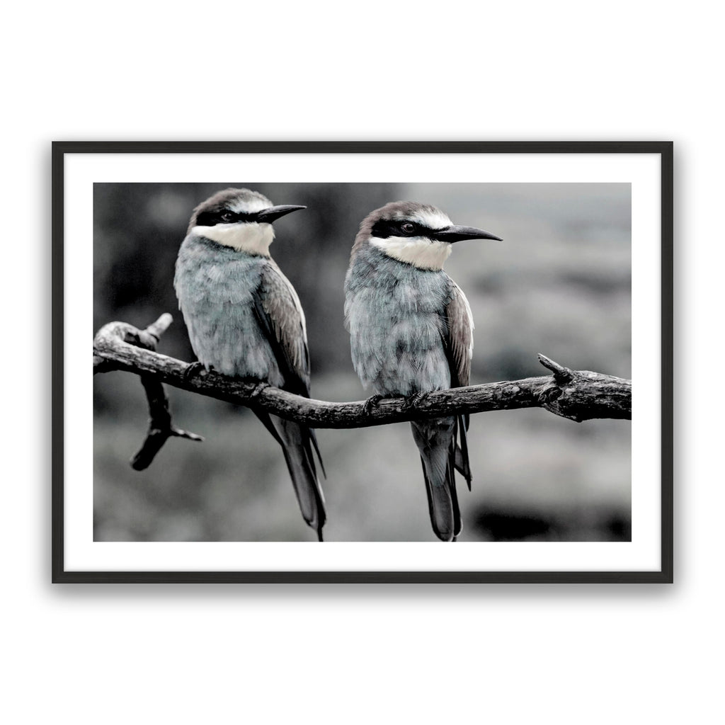 Silver Birds