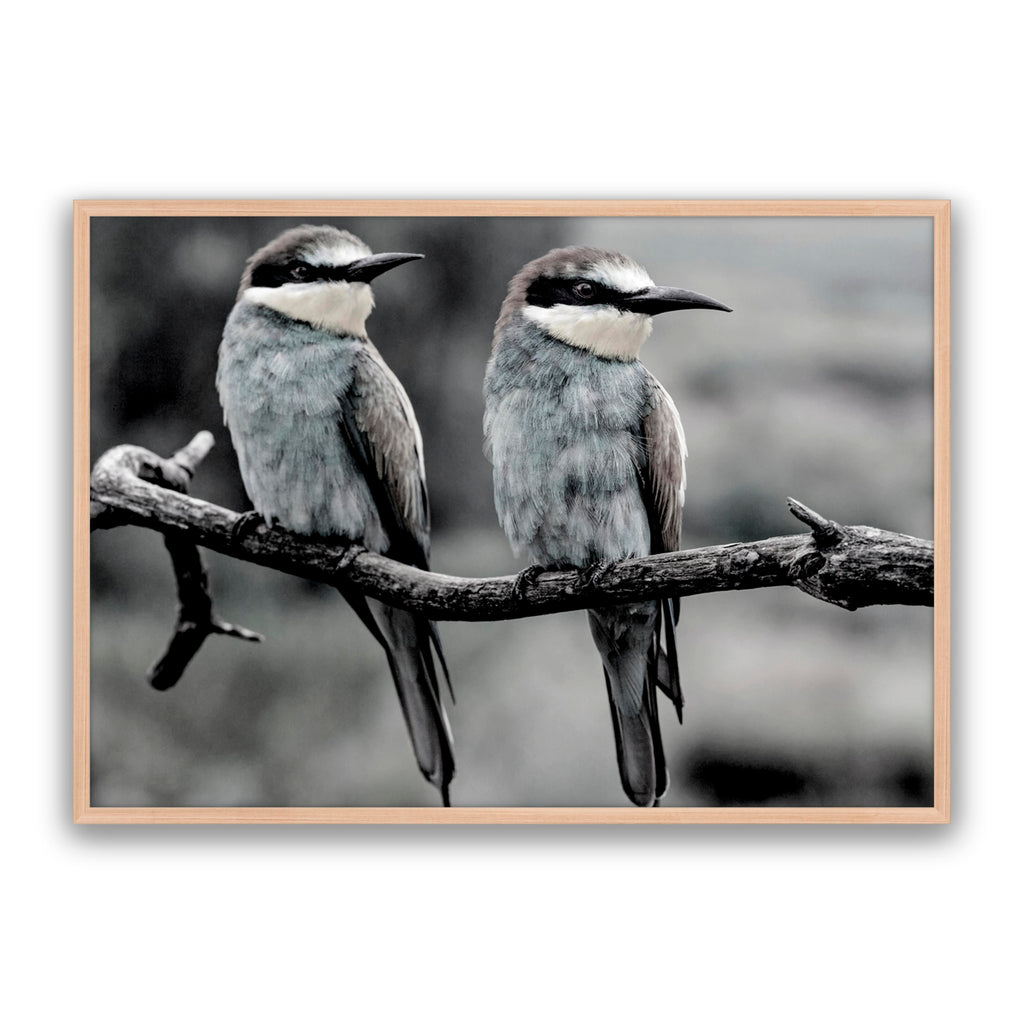 Silver Birds