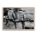 Silver Birds