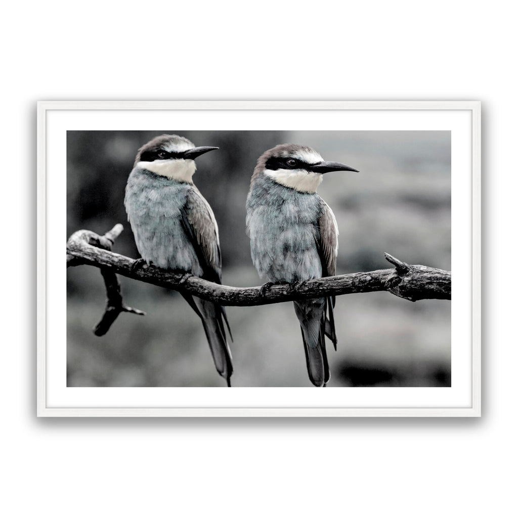 Silver Birds