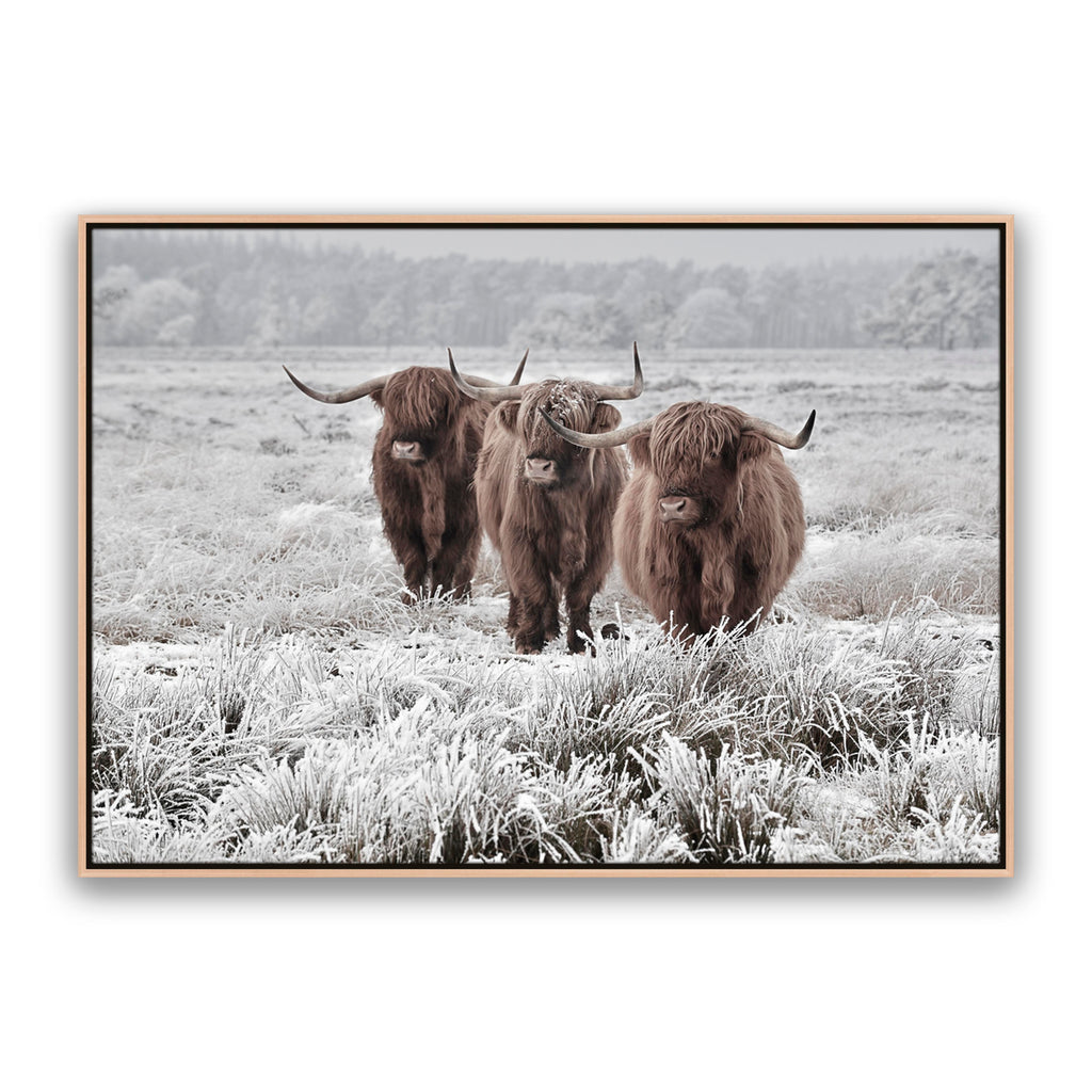Highlanders