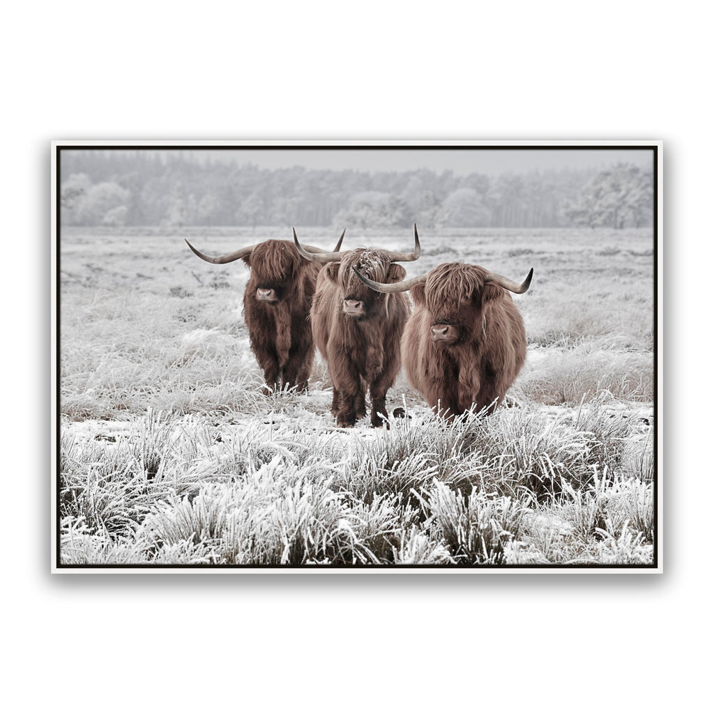 Highlanders