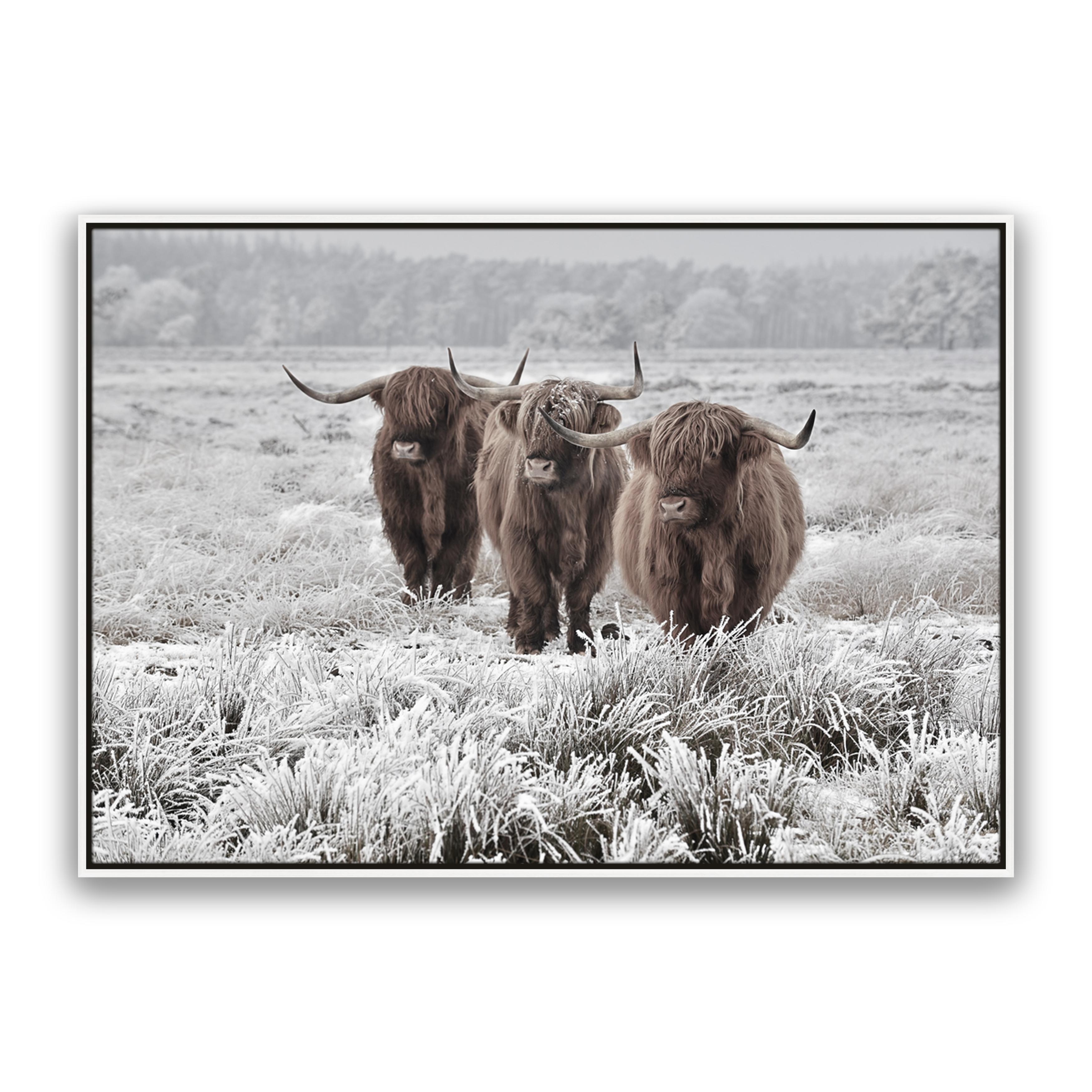 Highlanders