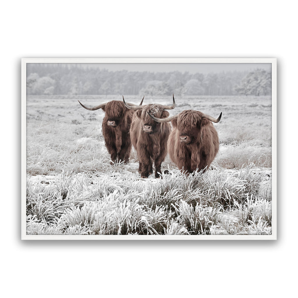 Highlanders