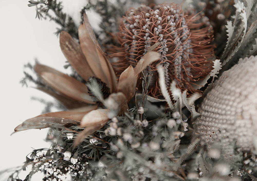 Autumn Natives