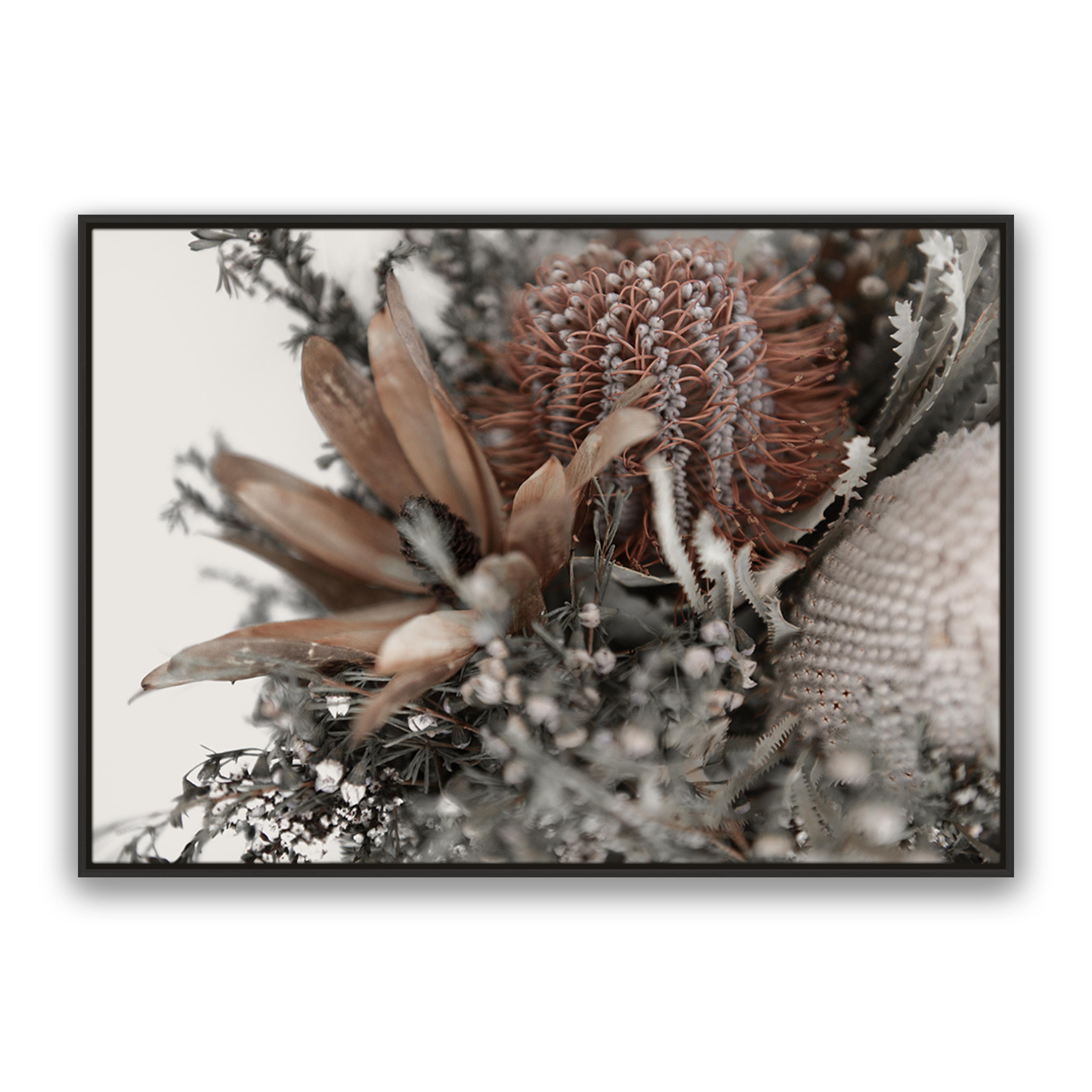 Autumn Natives