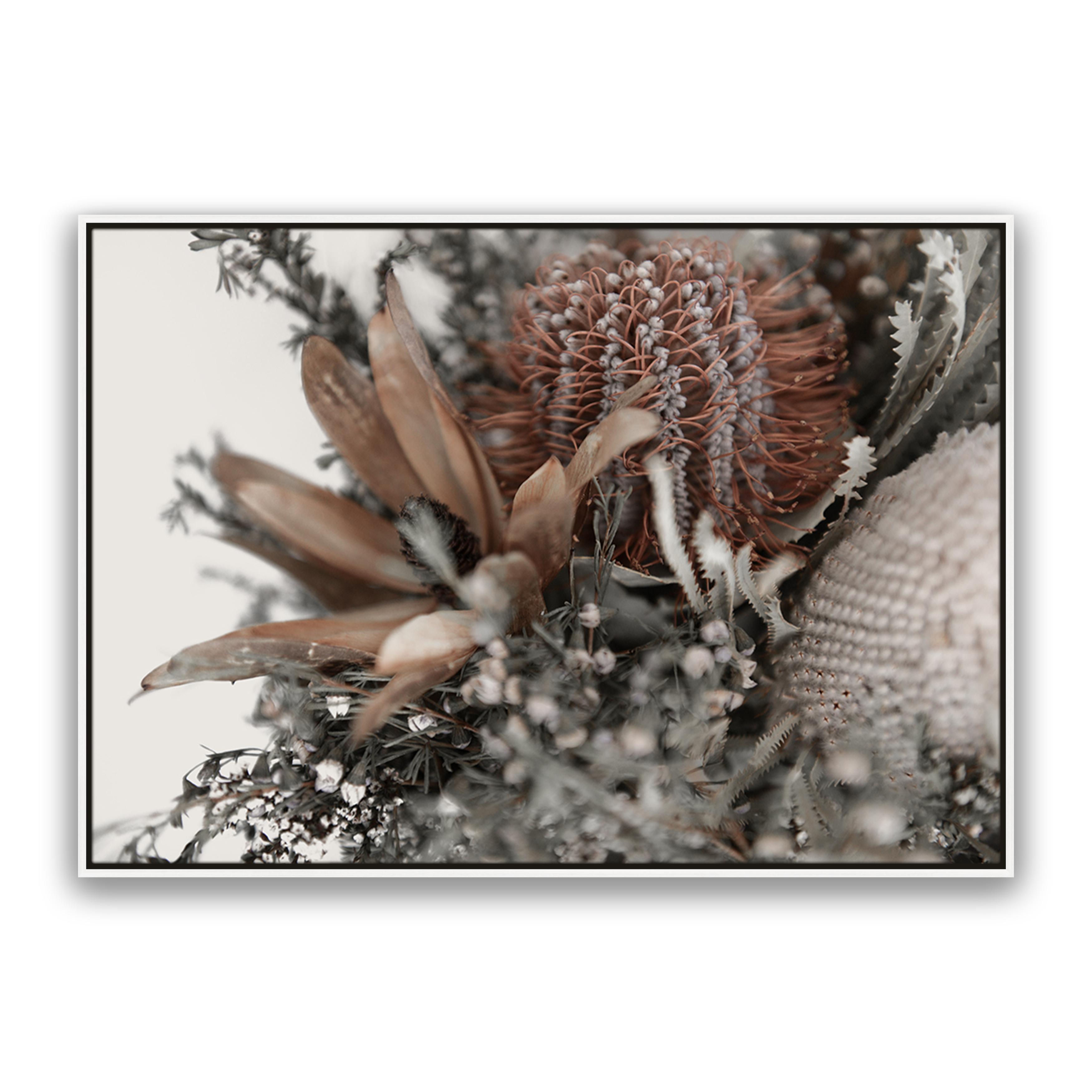 Autumn Natives