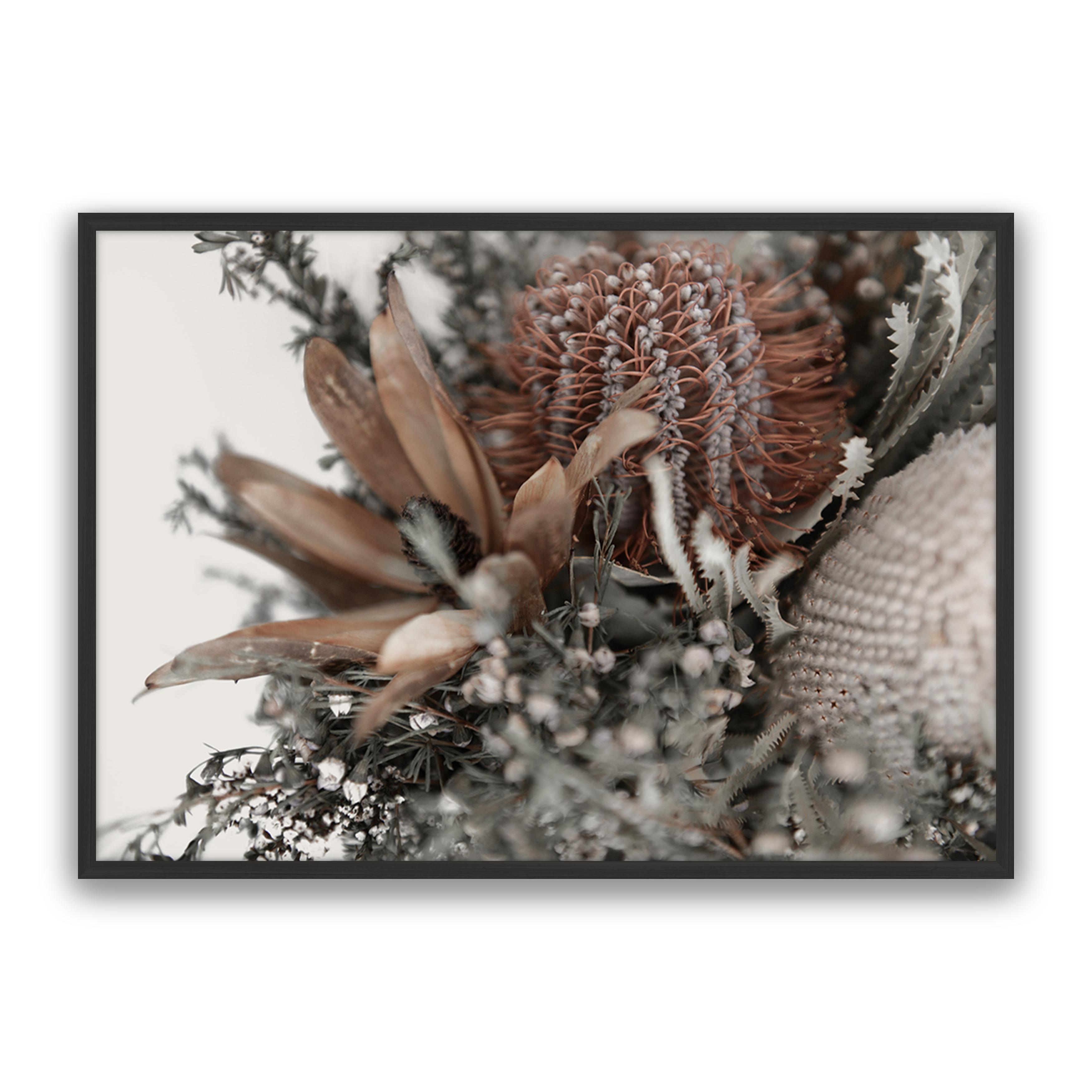 Autumn Natives