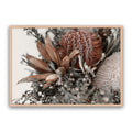Autumn Natives