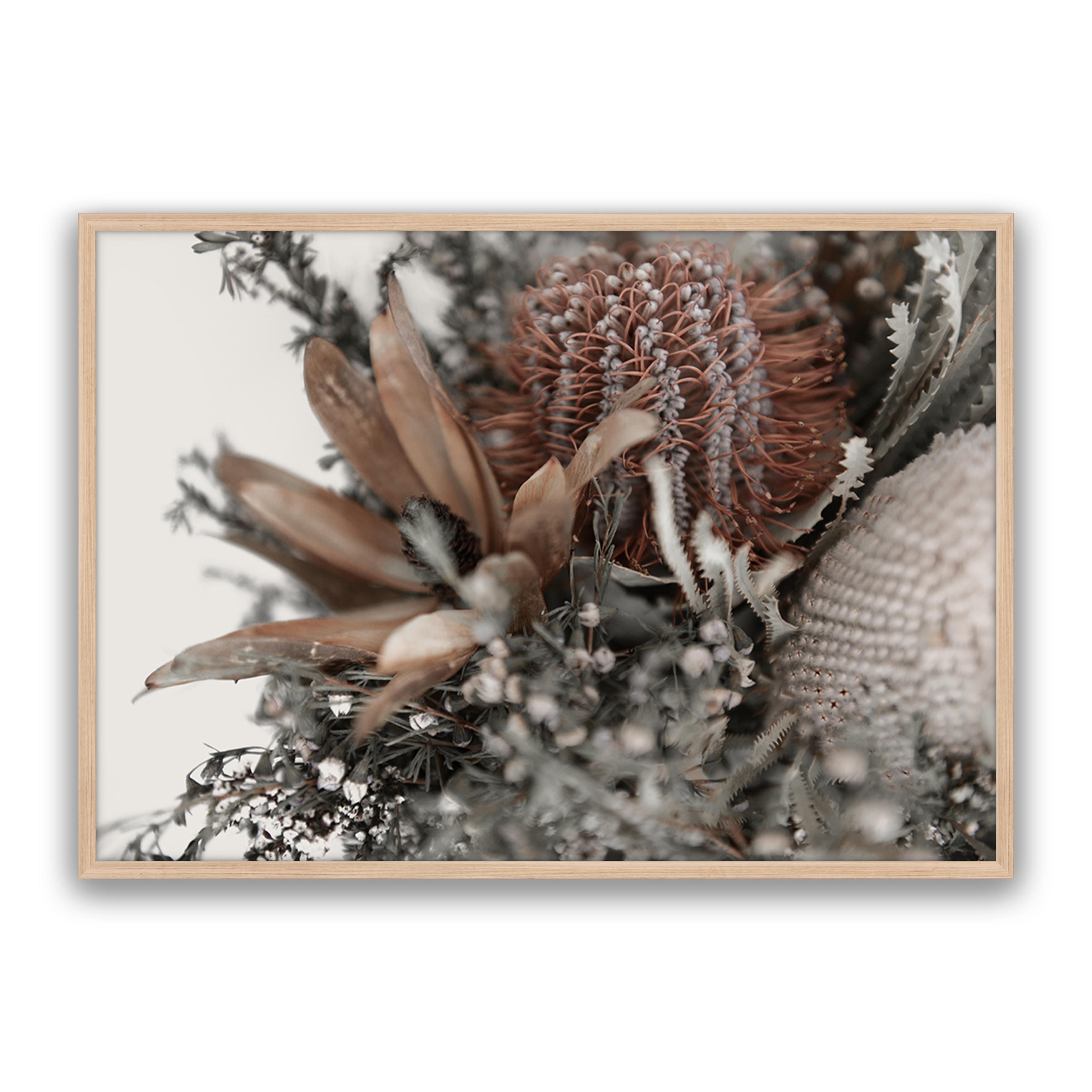 Autumn Natives