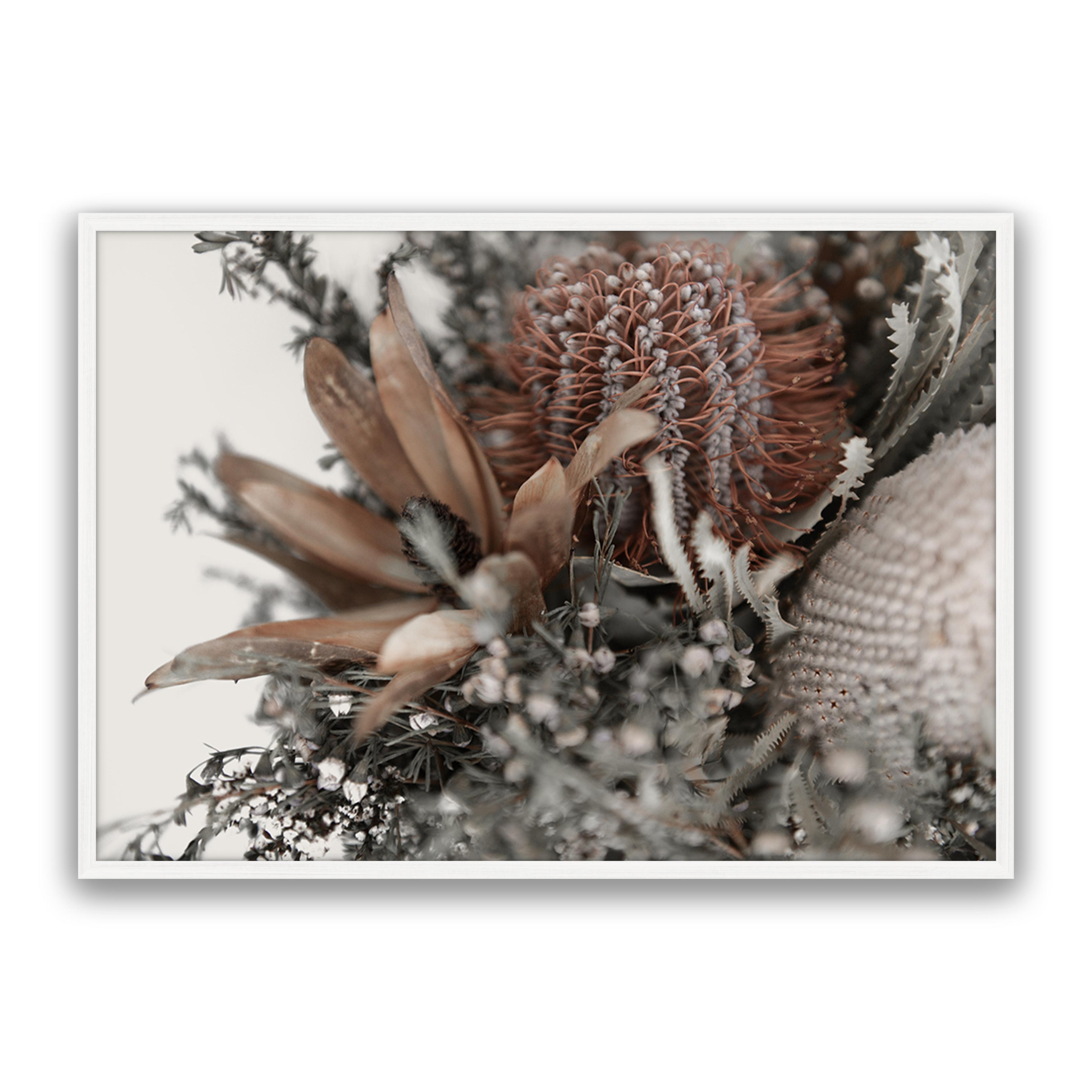 Autumn Natives