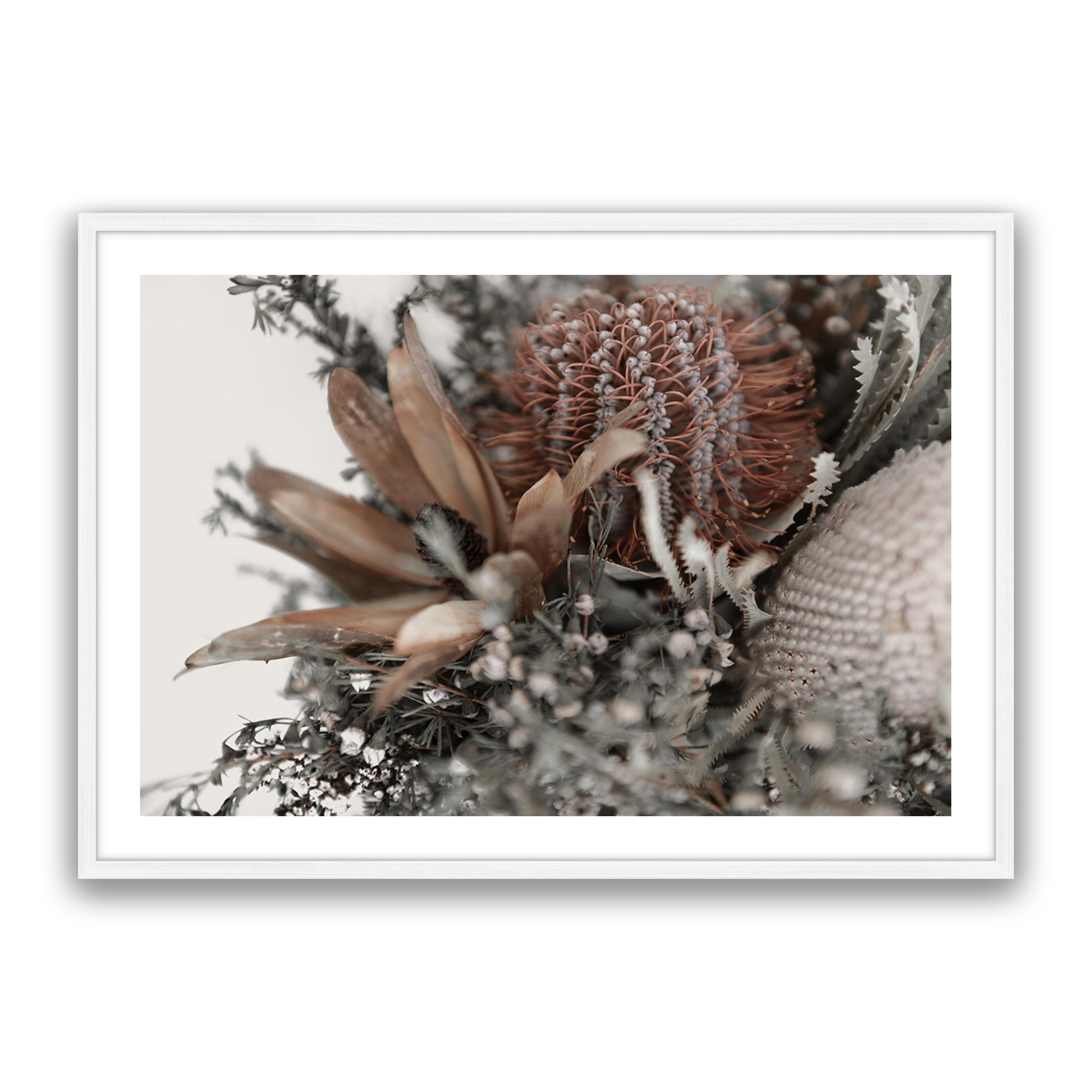 Autumn Natives