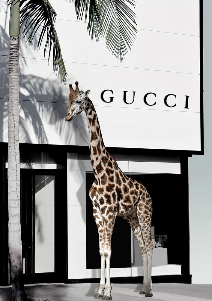 Fashion Safari