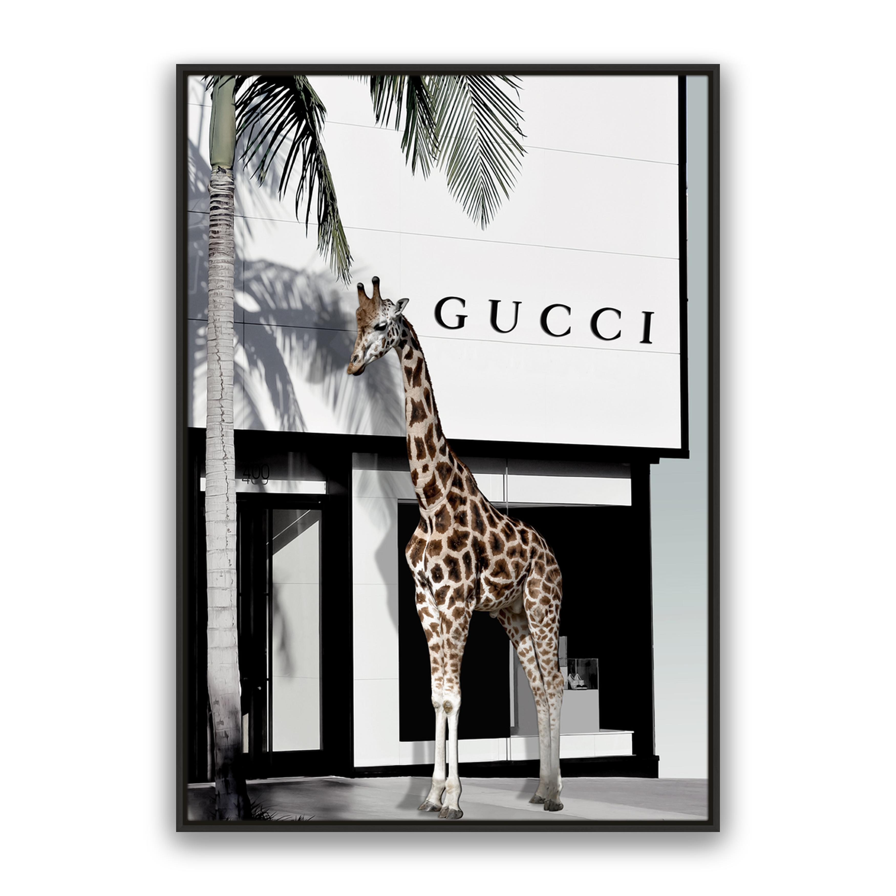 Fashion Safari