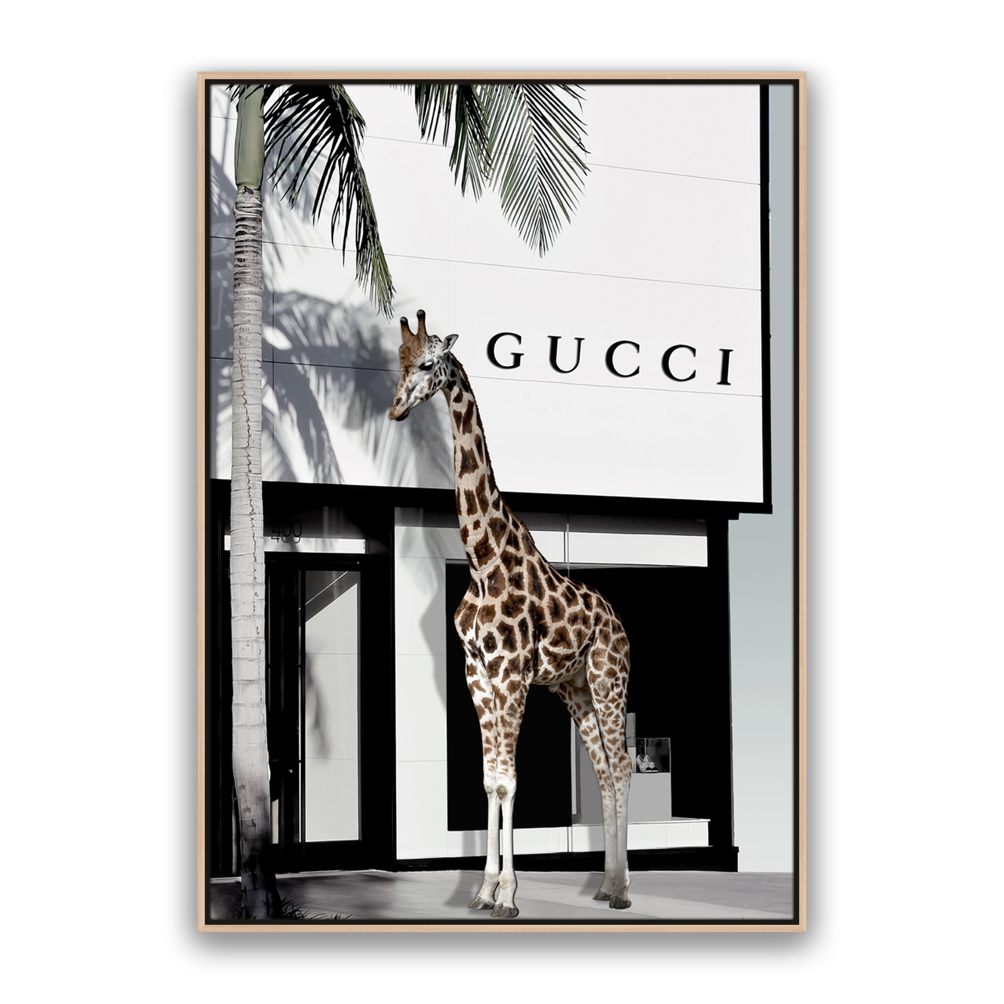 Fashion Safari