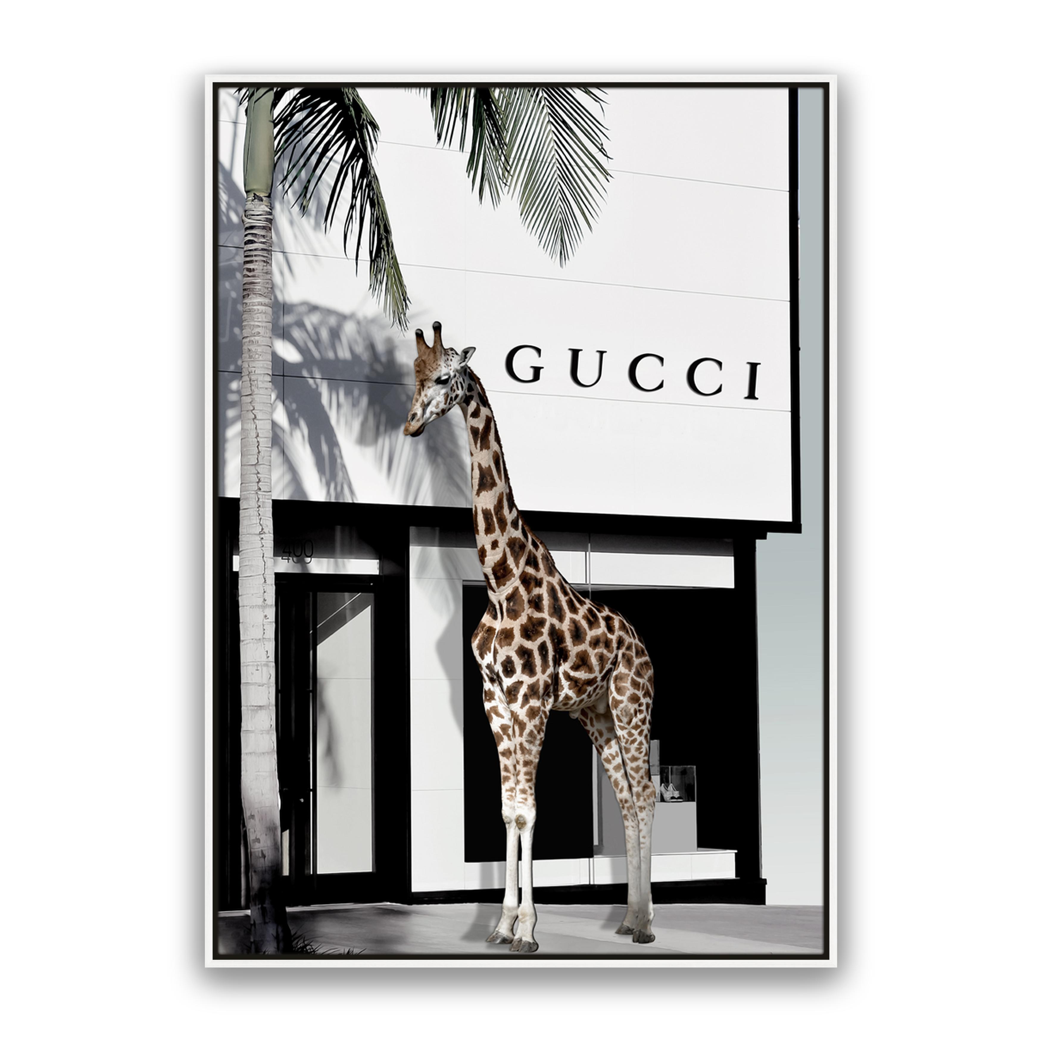 Fashion Safari
