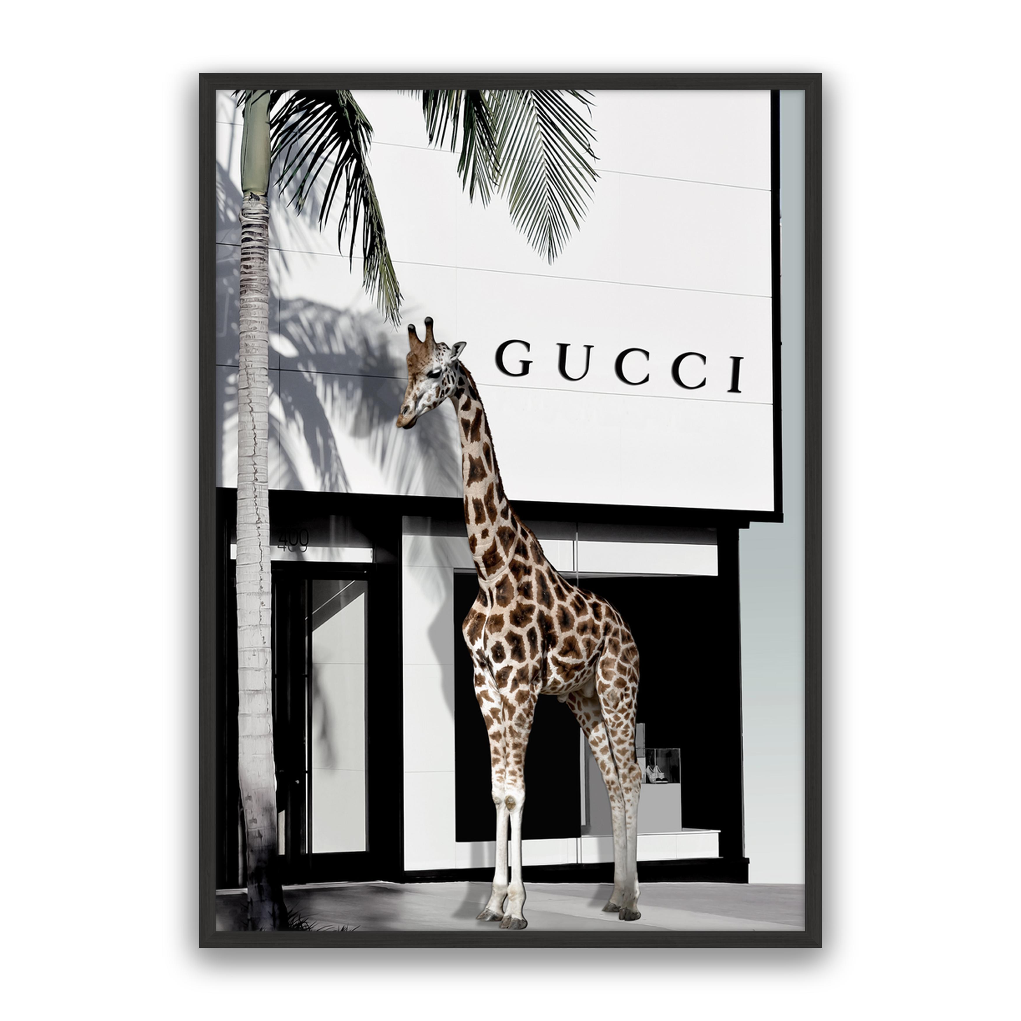 Fashion Safari