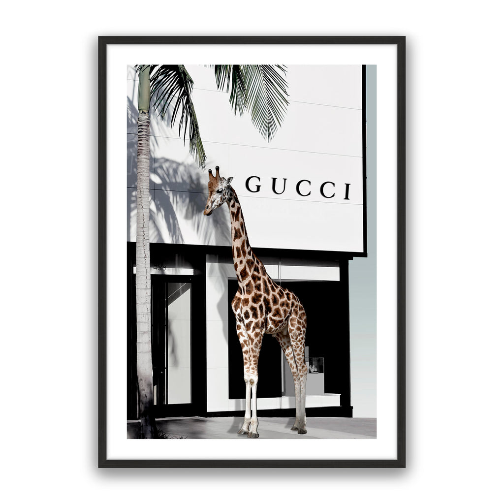 Fashion Safari