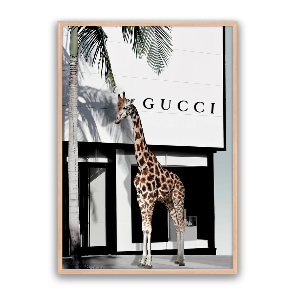 Fashion Safari