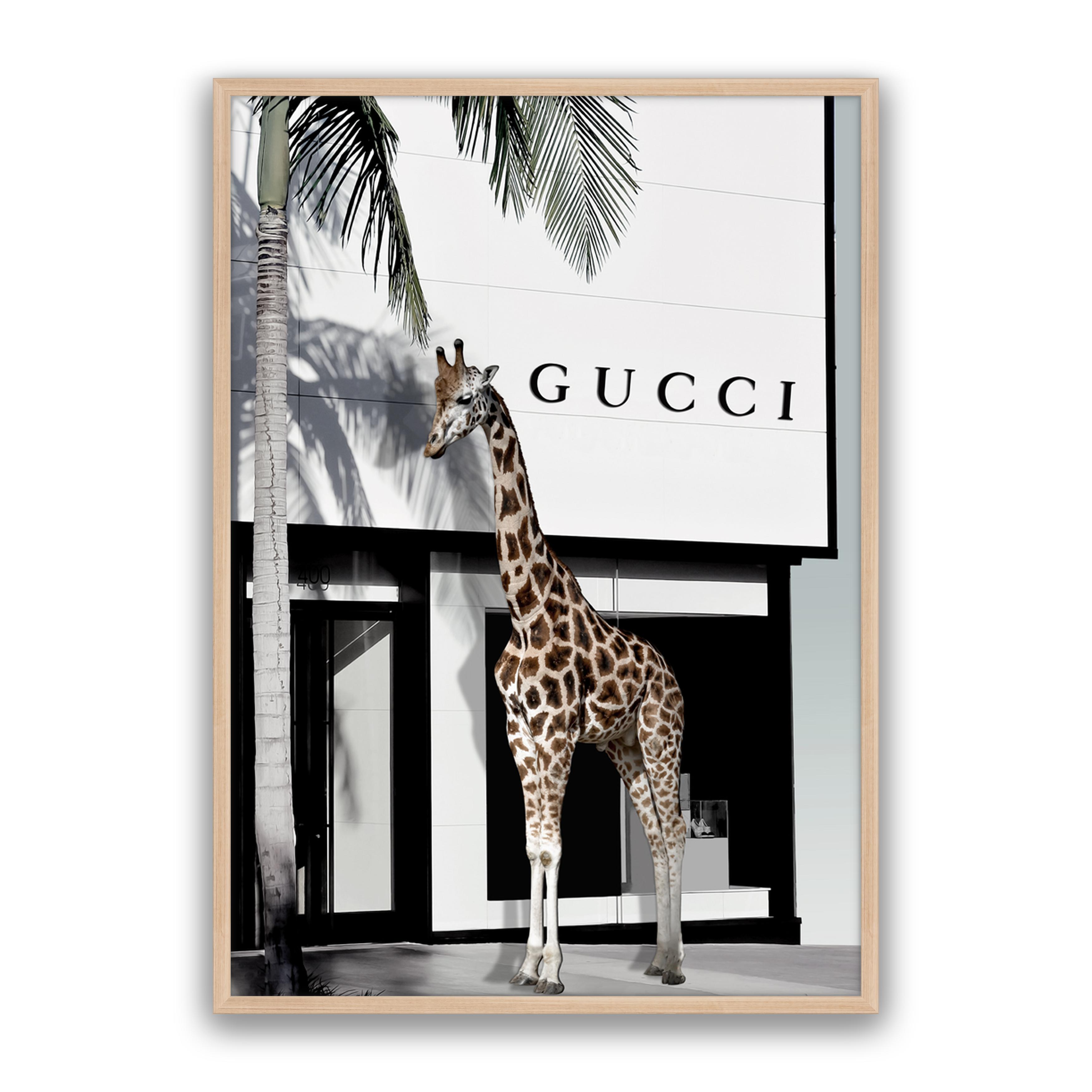 Fashion Safari