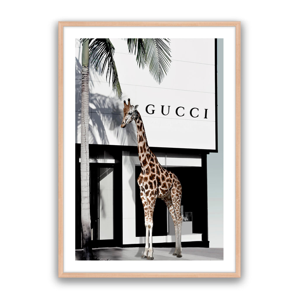Fashion Safari