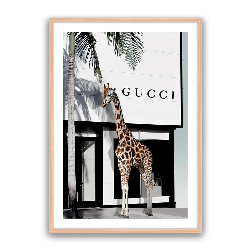 Fashion Safari