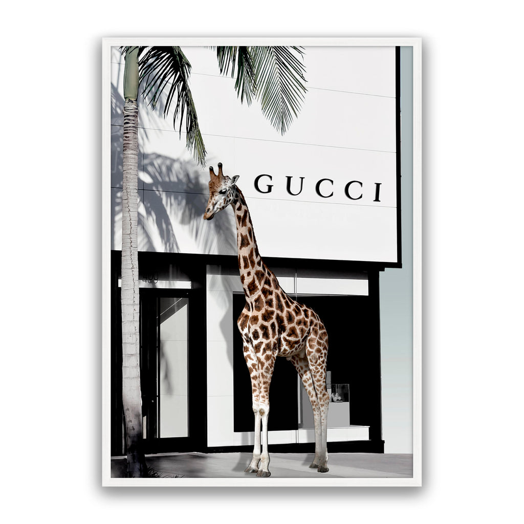 Fashion Safari